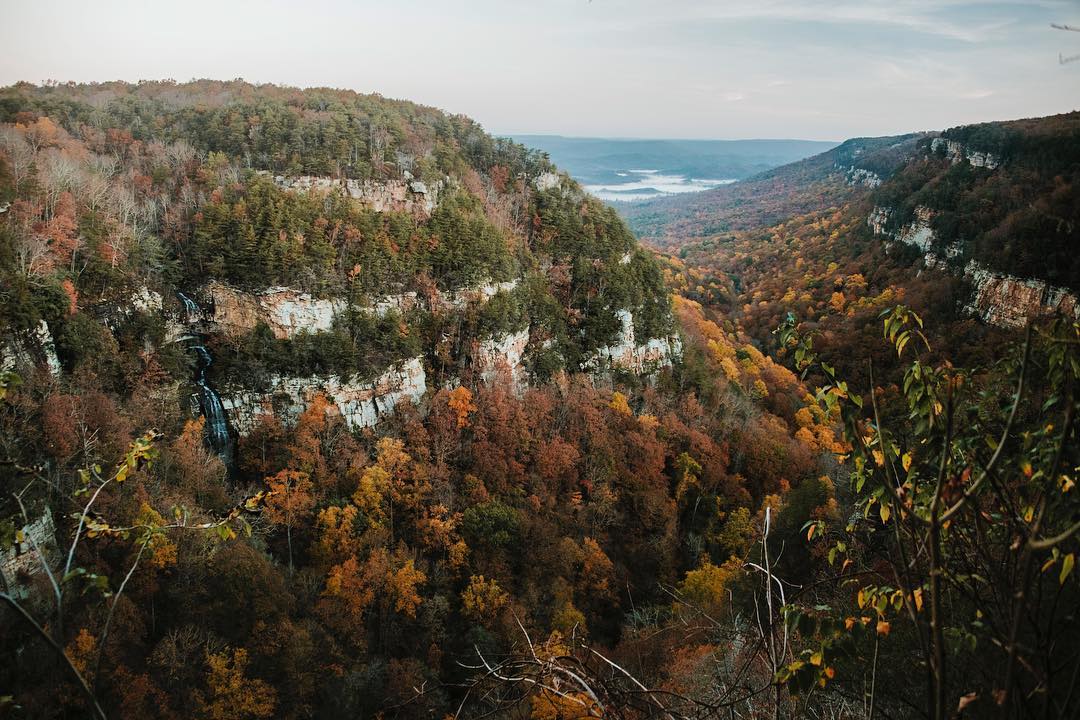 Cloudland Canyon State Park in Rising Fawn, Georgia. Photo by @emberwolves