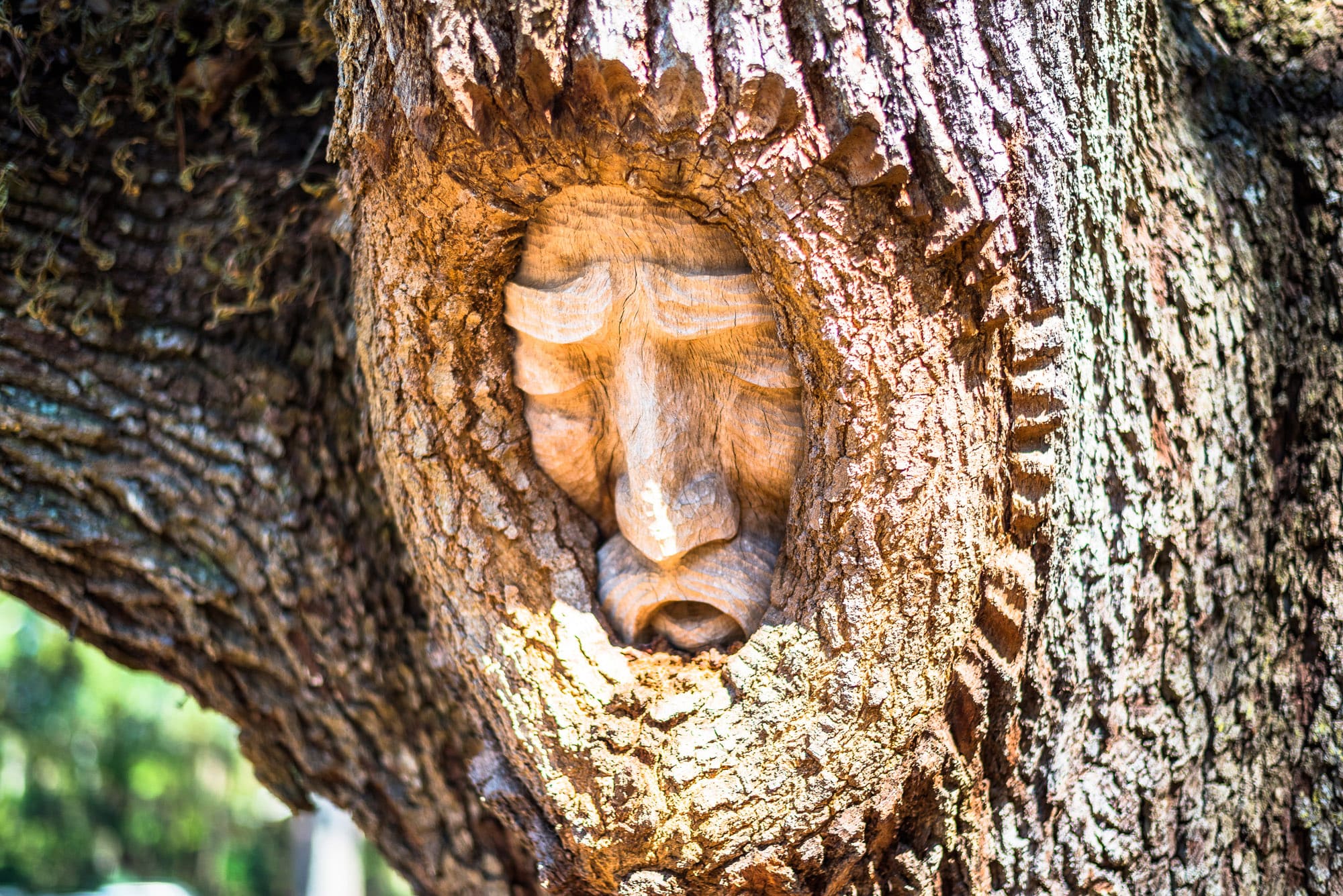 Tree Spirit at Magnolia Manor on St. Simons Island, Georgia