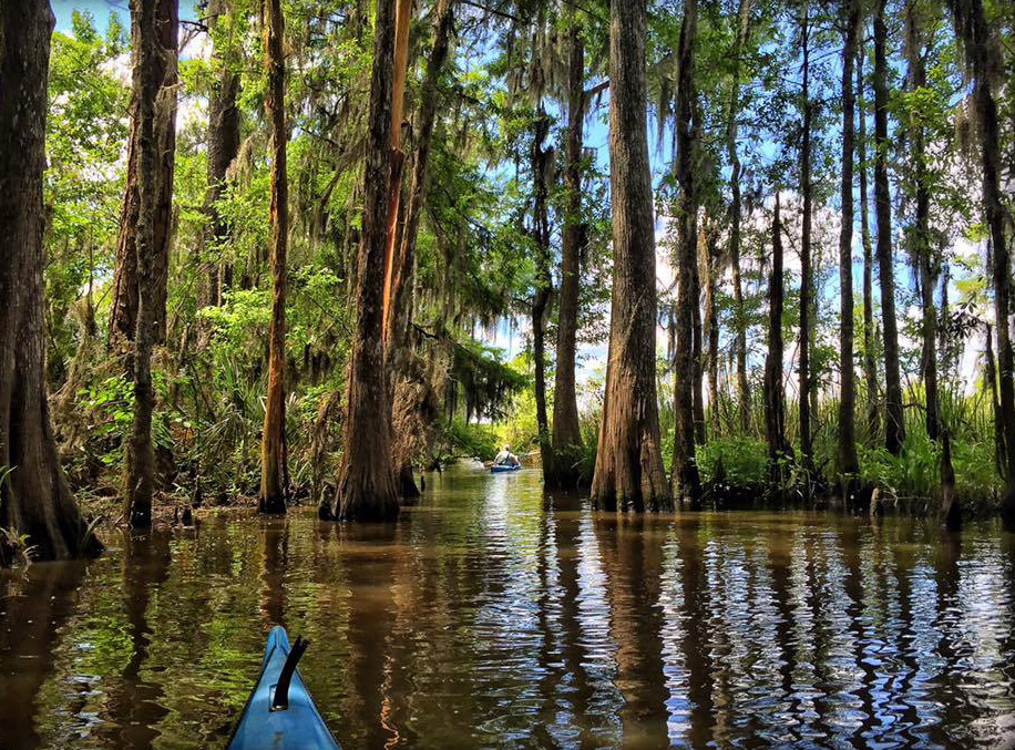 Kayaking with Altamaha Coastal Tours in Darien, Georgia