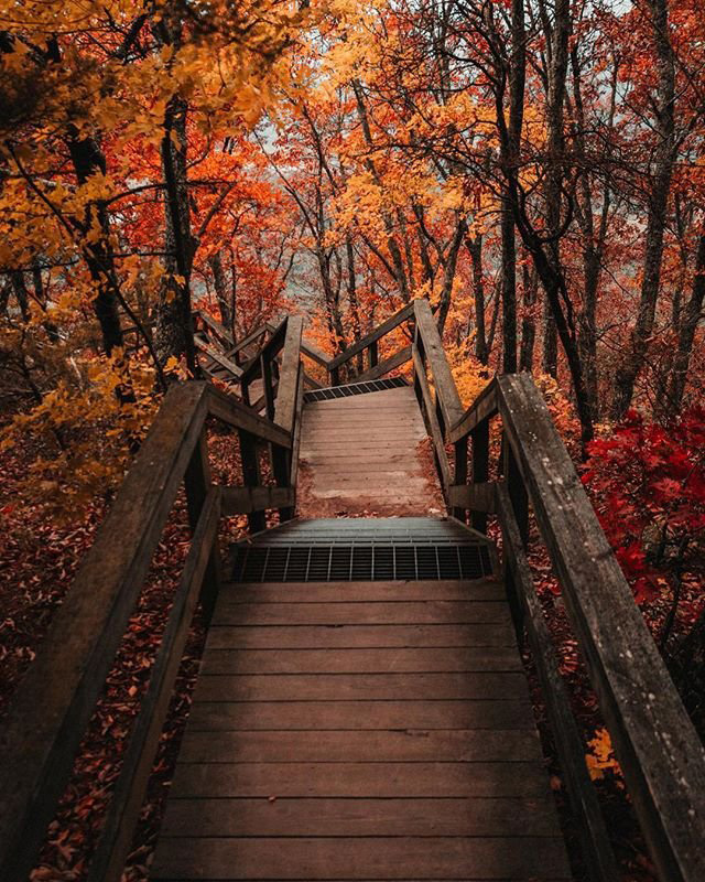 Staircase among fall foliage at Fort Mountain State Park in Chatsworth, Georgia. Photo by @austinbwalker