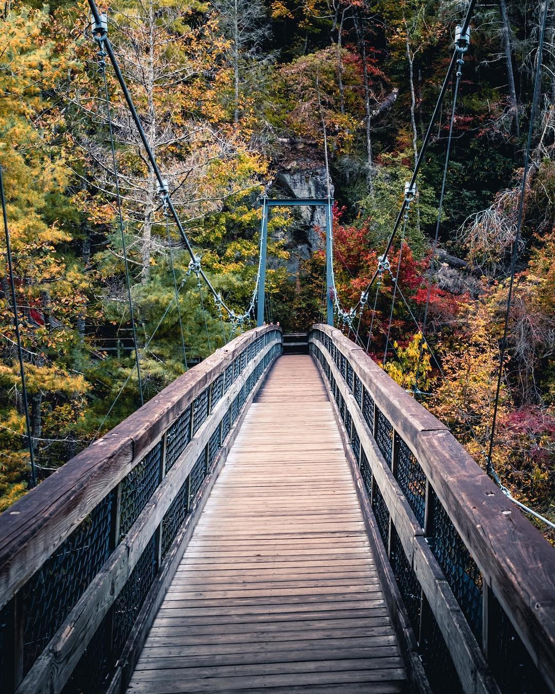 Tallulah Gorge Suspension Bridge. Photo by @steventhomasphotography