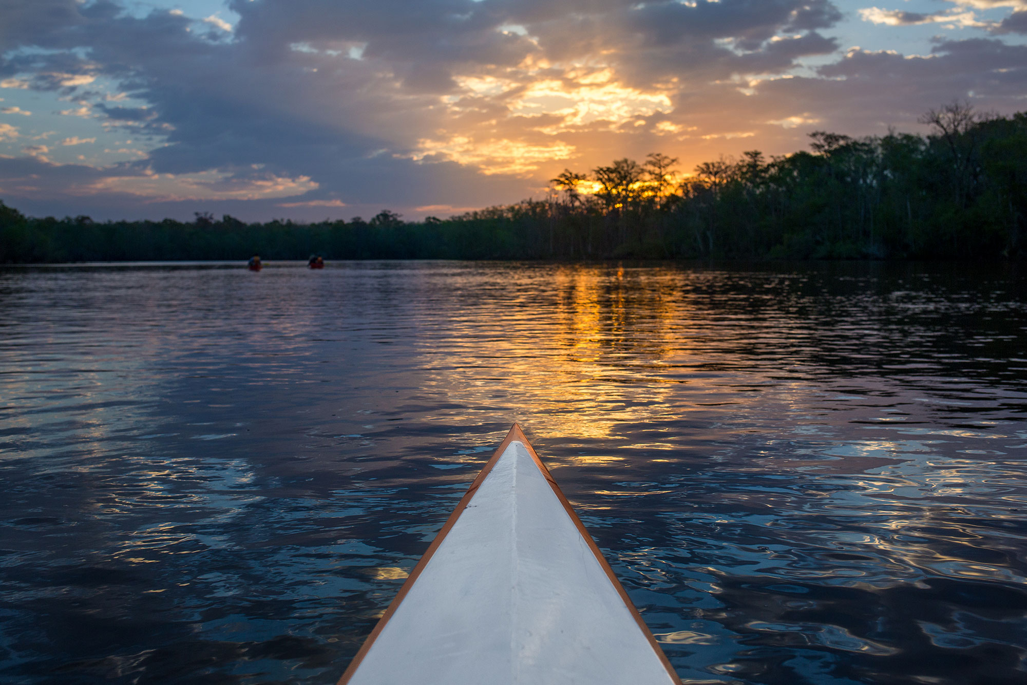 Kayaking on the Altamaha River in south Georgia