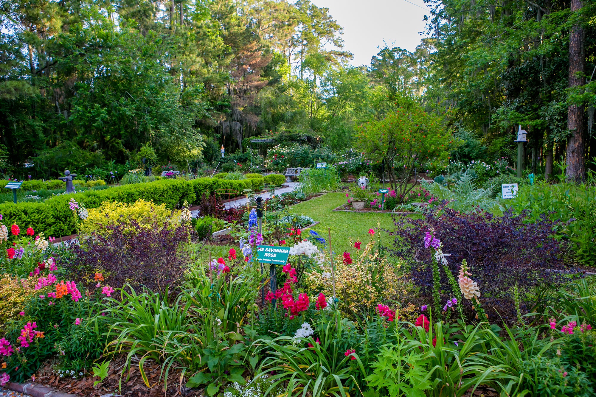 Savannah Botanical Garden in spring