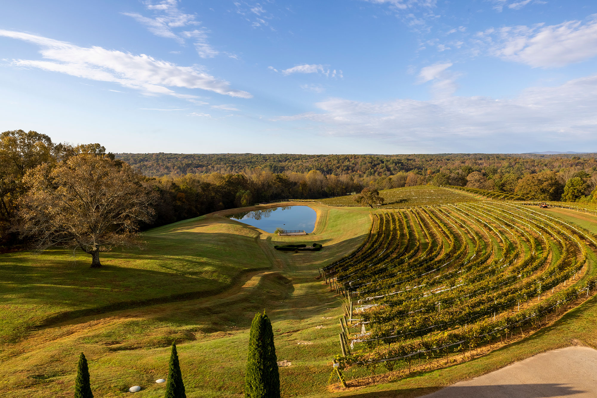 Scenic view of the vineyards at Montaluce Winery in Dahlonega, Georgia