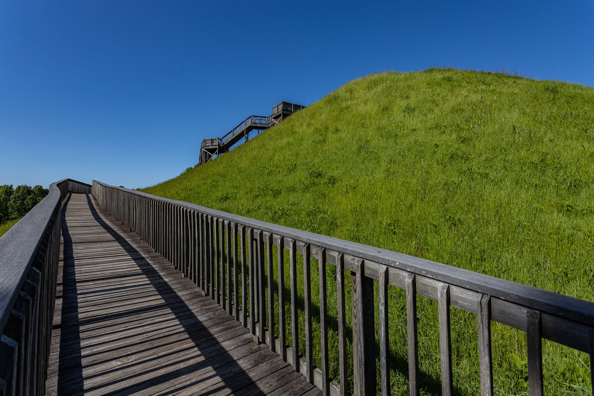A view of the boardwalk stairs at Ocmulgree Mounds National Monument