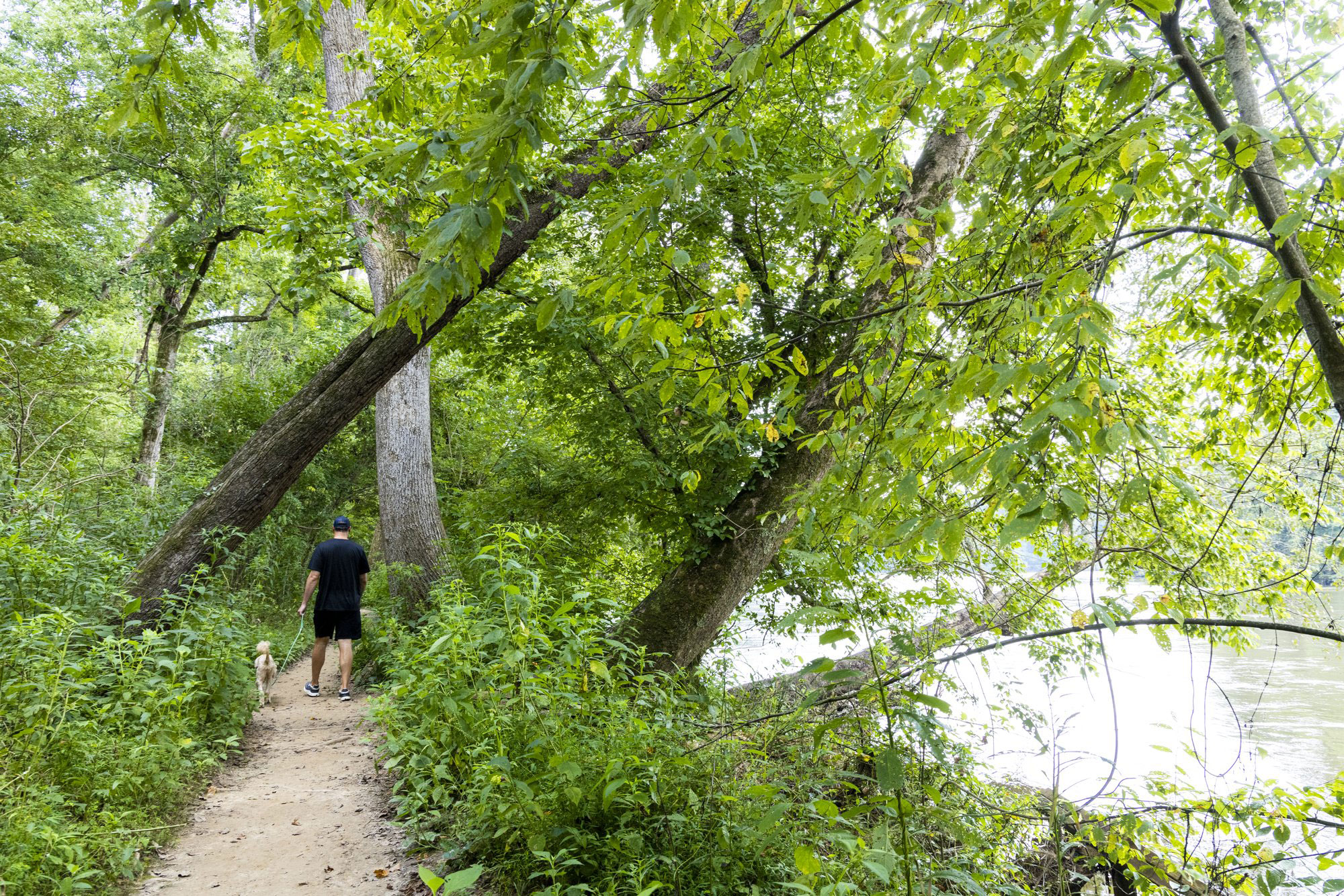 Hiking the East Palisades Trail | Explore Georgia, Official