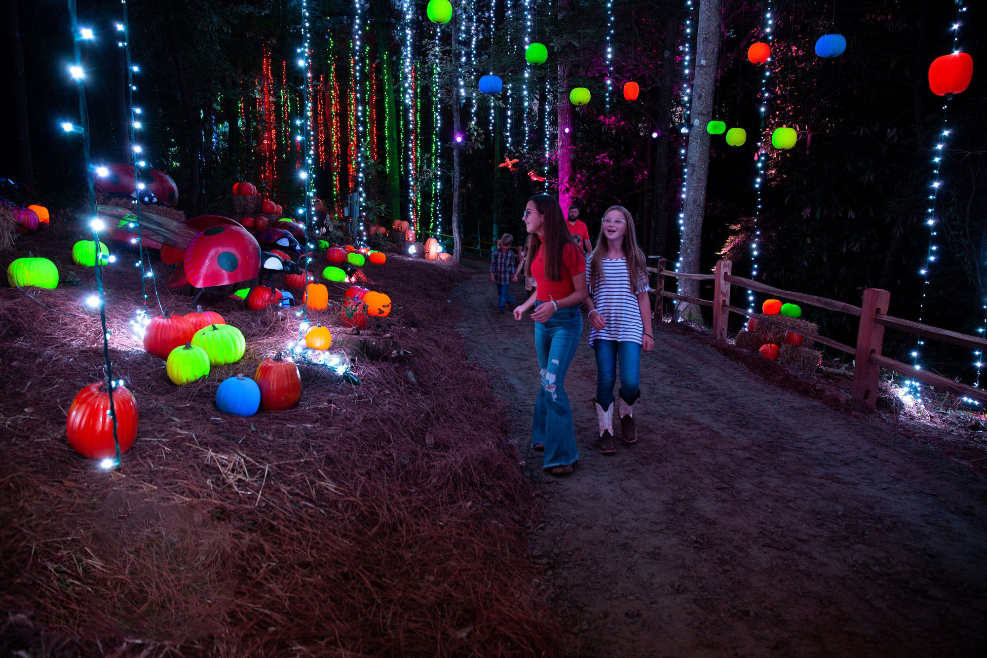 Two teens walking among colorfully lit pumpkins on a trail