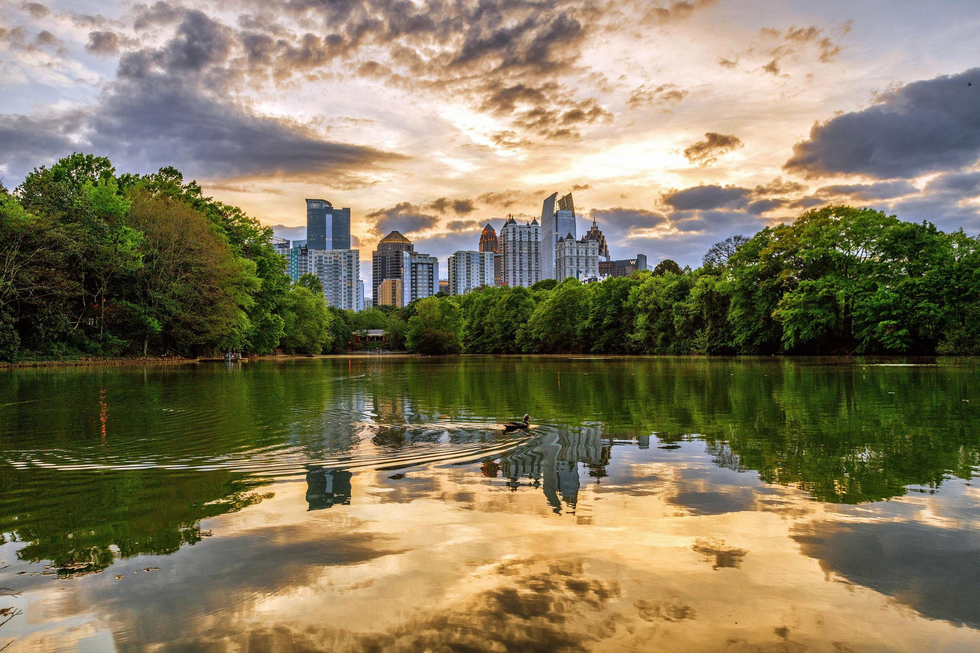 View of Atlanta skyline from Piedmont Park in Atlanta, Georgia