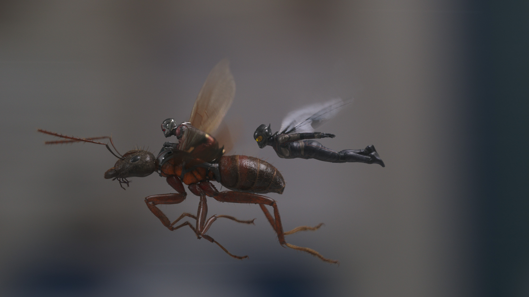 Marvel Studios - Ant-Man and the Wasp