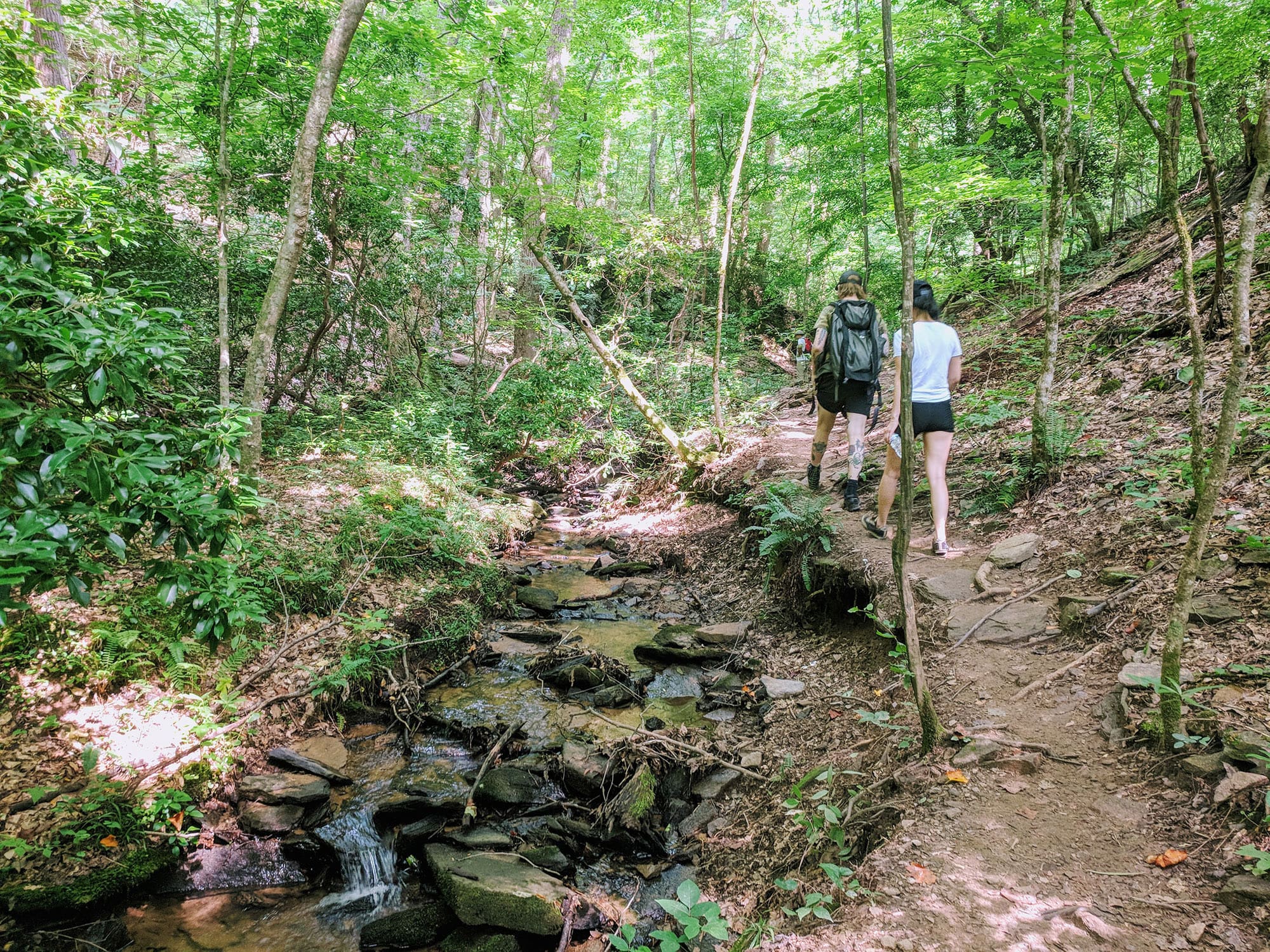 Hikers on the East Palisades Trail in Atlanta