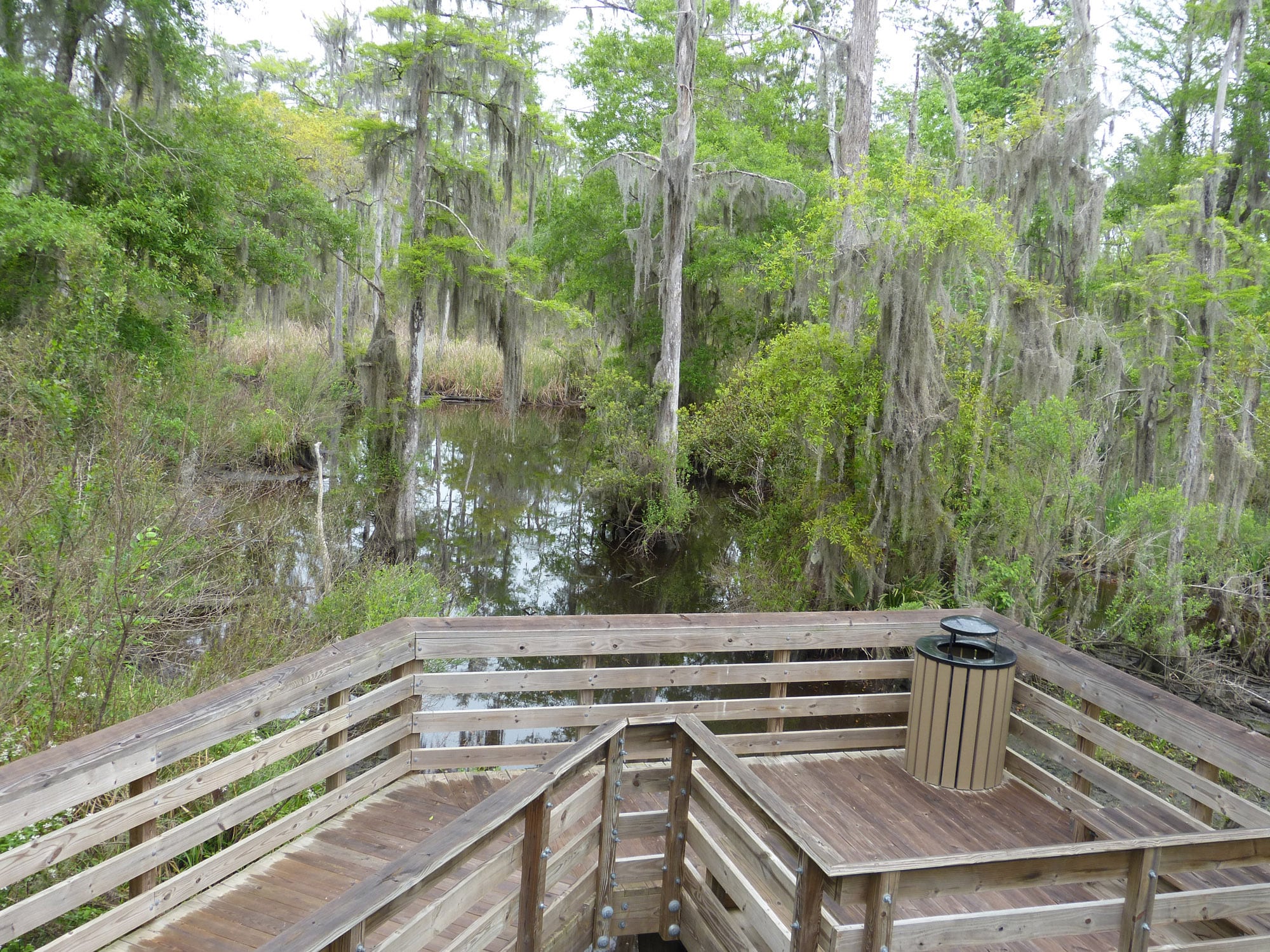 Historic Baptismal Pool in Riceboro. Photo by Kalin Thomas