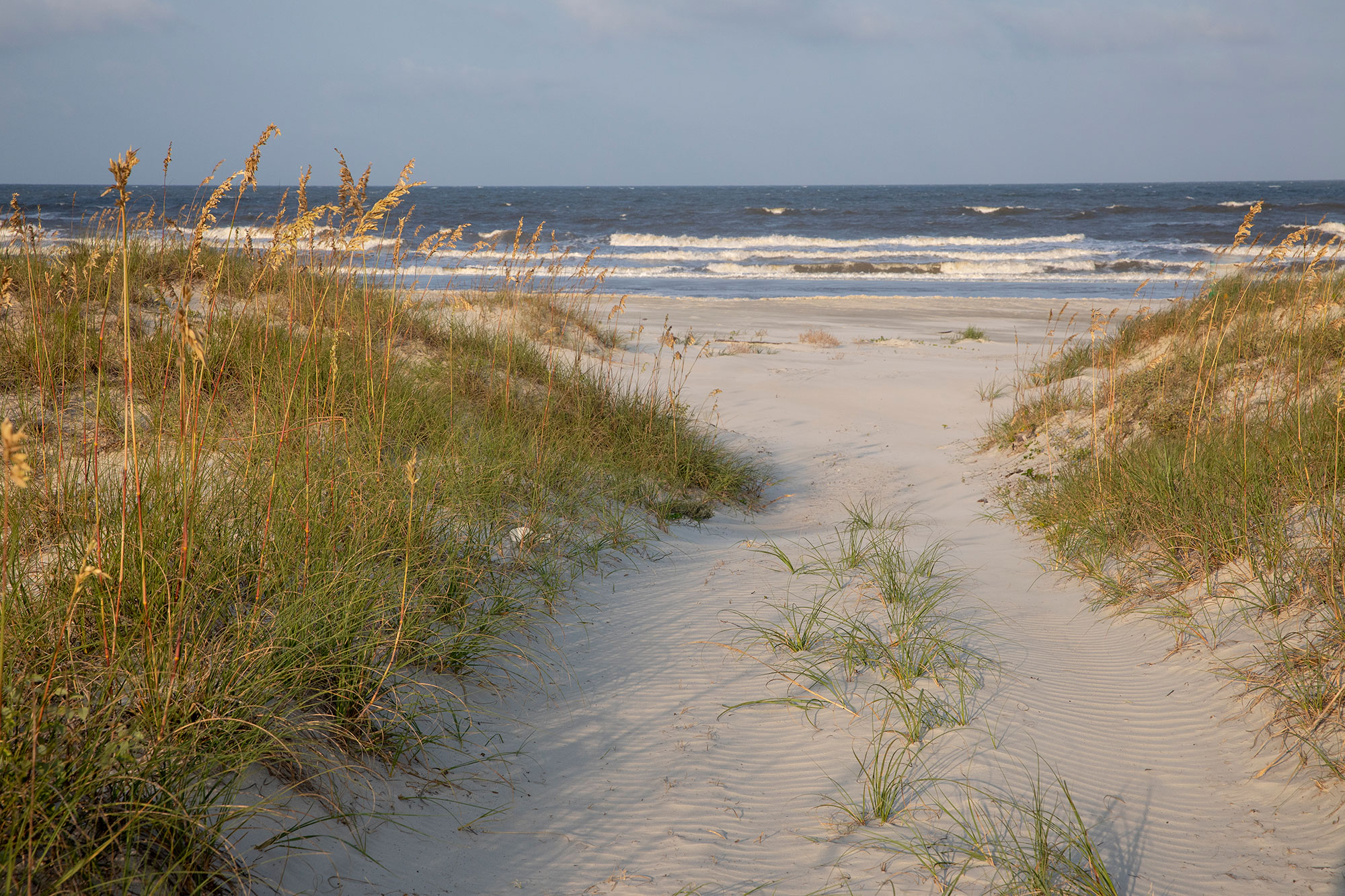 Path through sand dunes to beach on Cumberland Island, Georgia