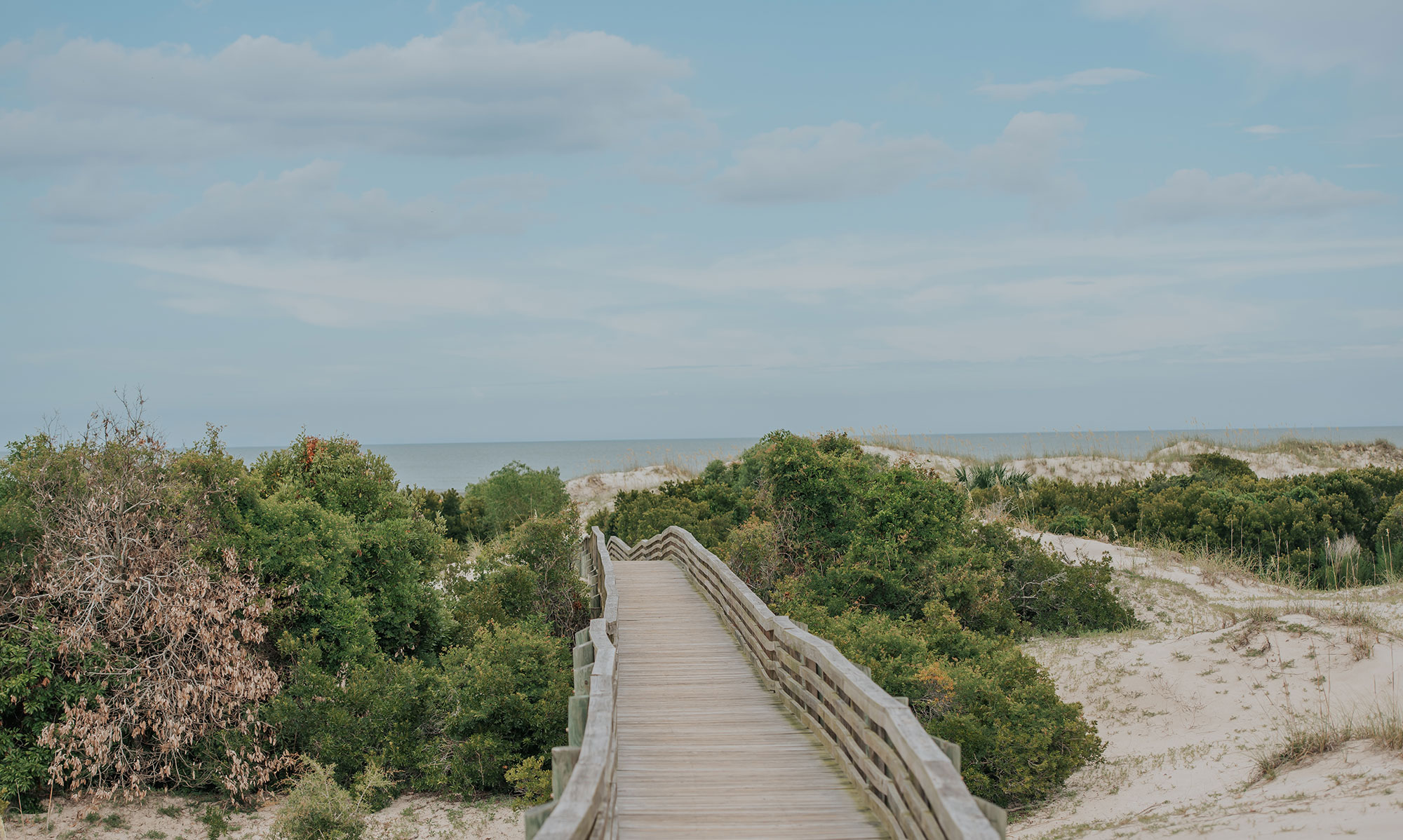 Boardwalk to the beach on Cumberland Island, Georgia. Photo by @gcalebjones
