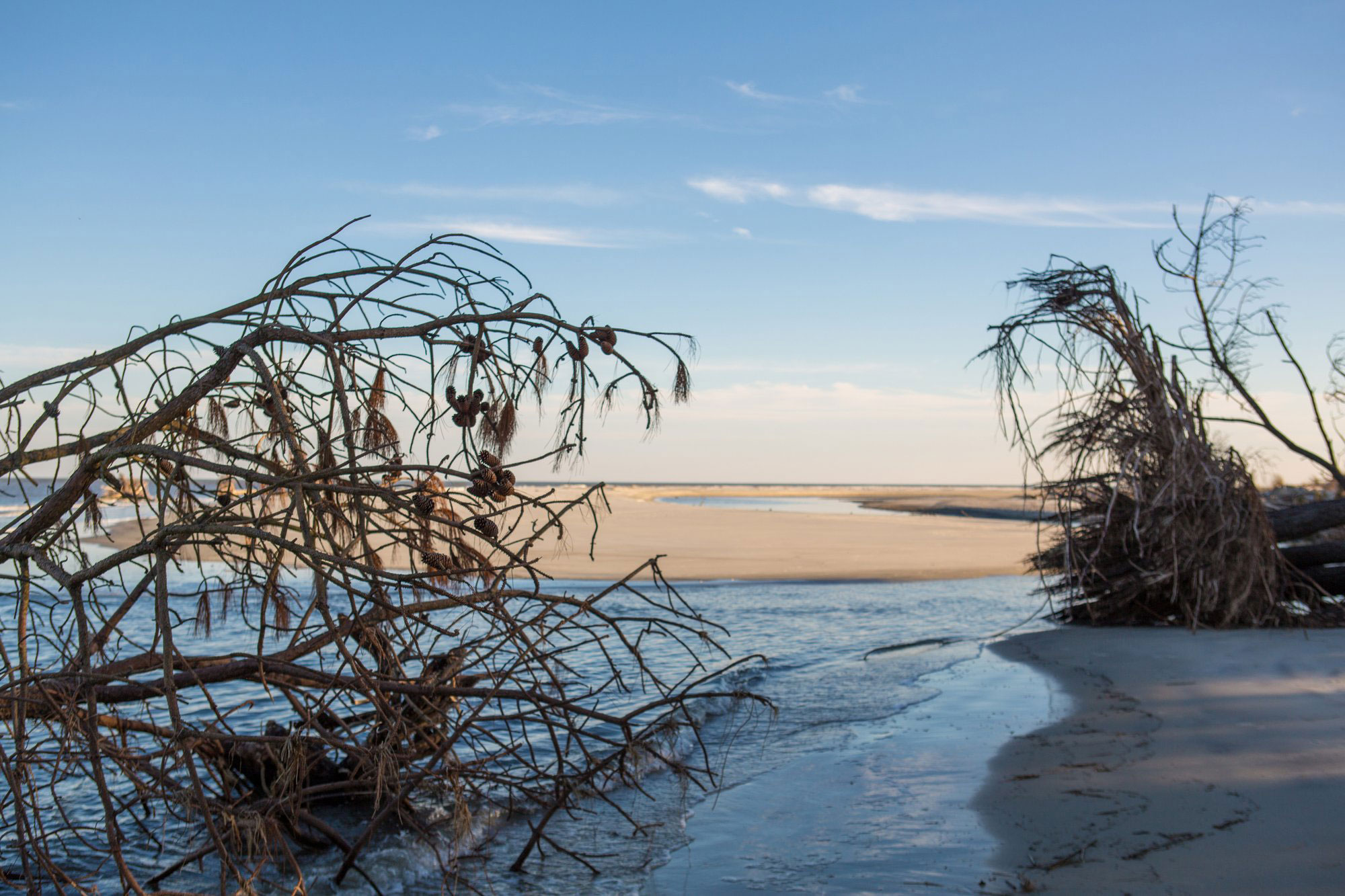 Cabretta Island beach on Sapelo Island, Georgia