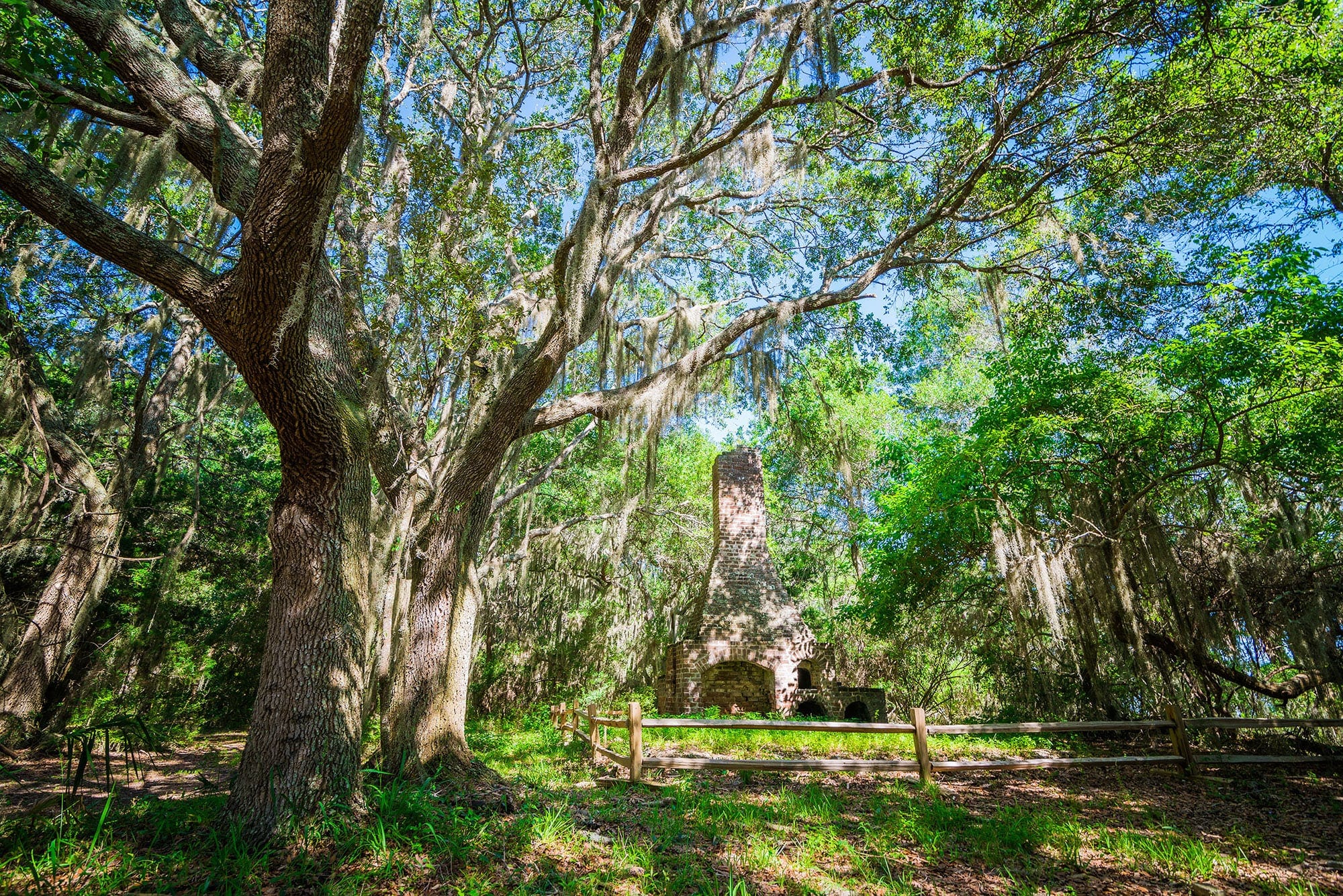 Cannon's Point Preserve on St. Simons Island, Georgia