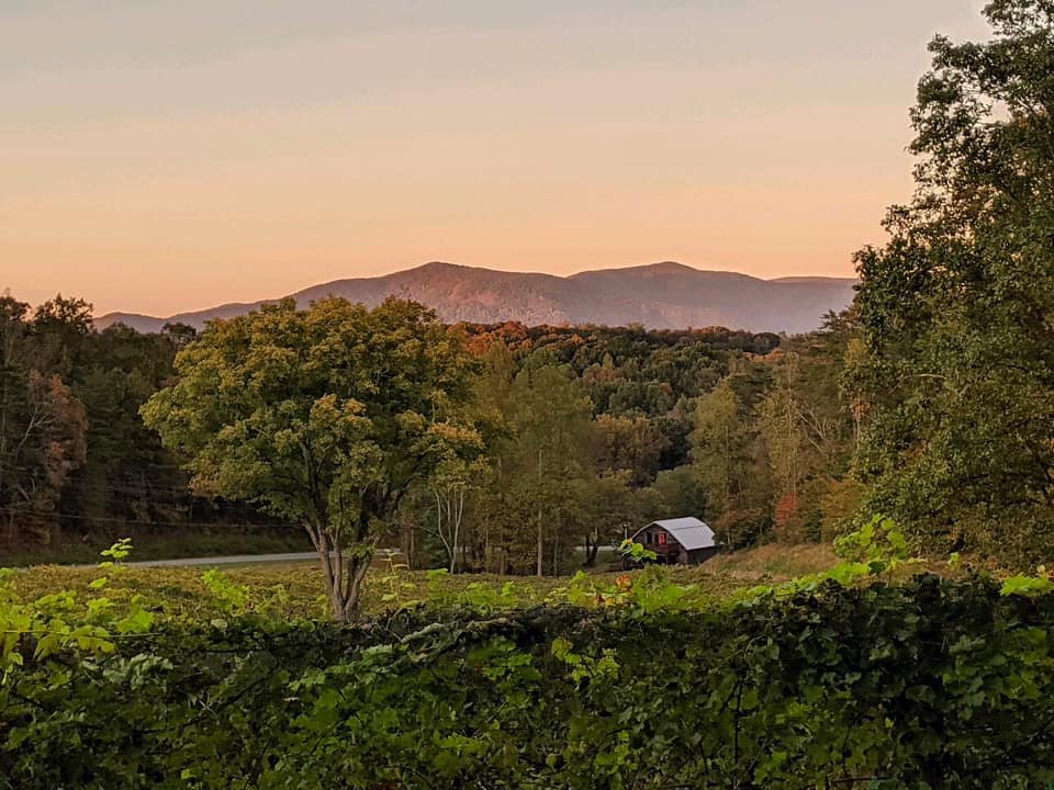 Scenic view of Cartecay Vineyards in Ellijay, Georgia