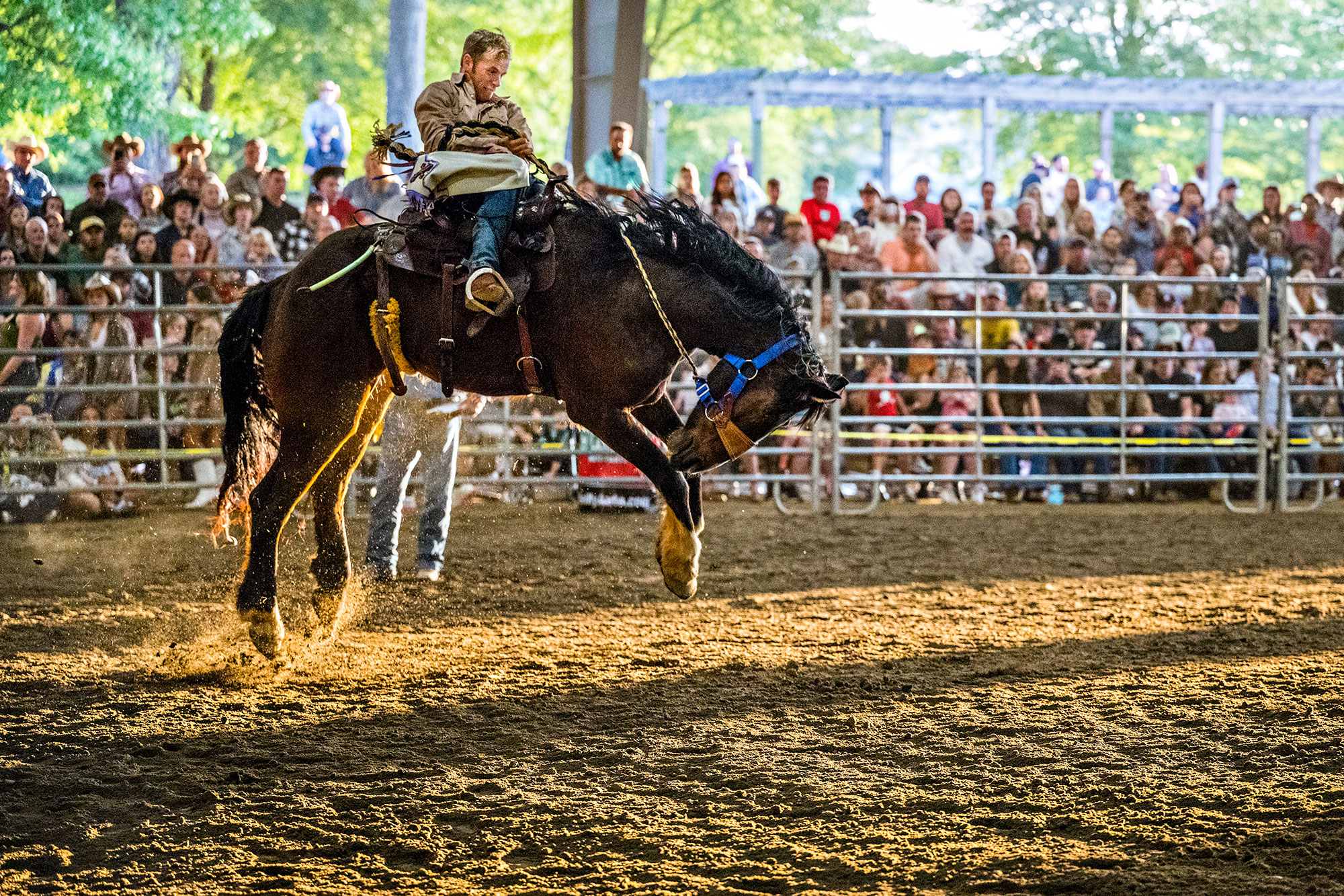 Rodeo rider at The Celebrate Freedom Rodeo in Alpharetta, Georgia