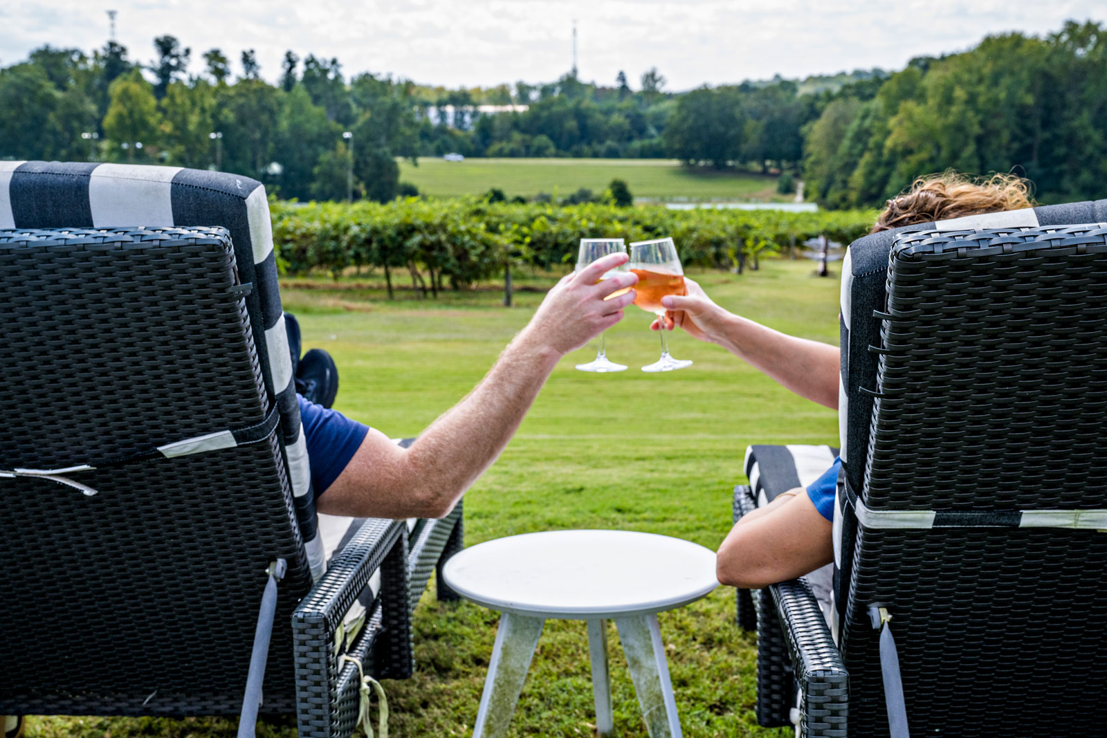 Two people reaching out their arms holding wine glasses and making a toast facing a vineyard.