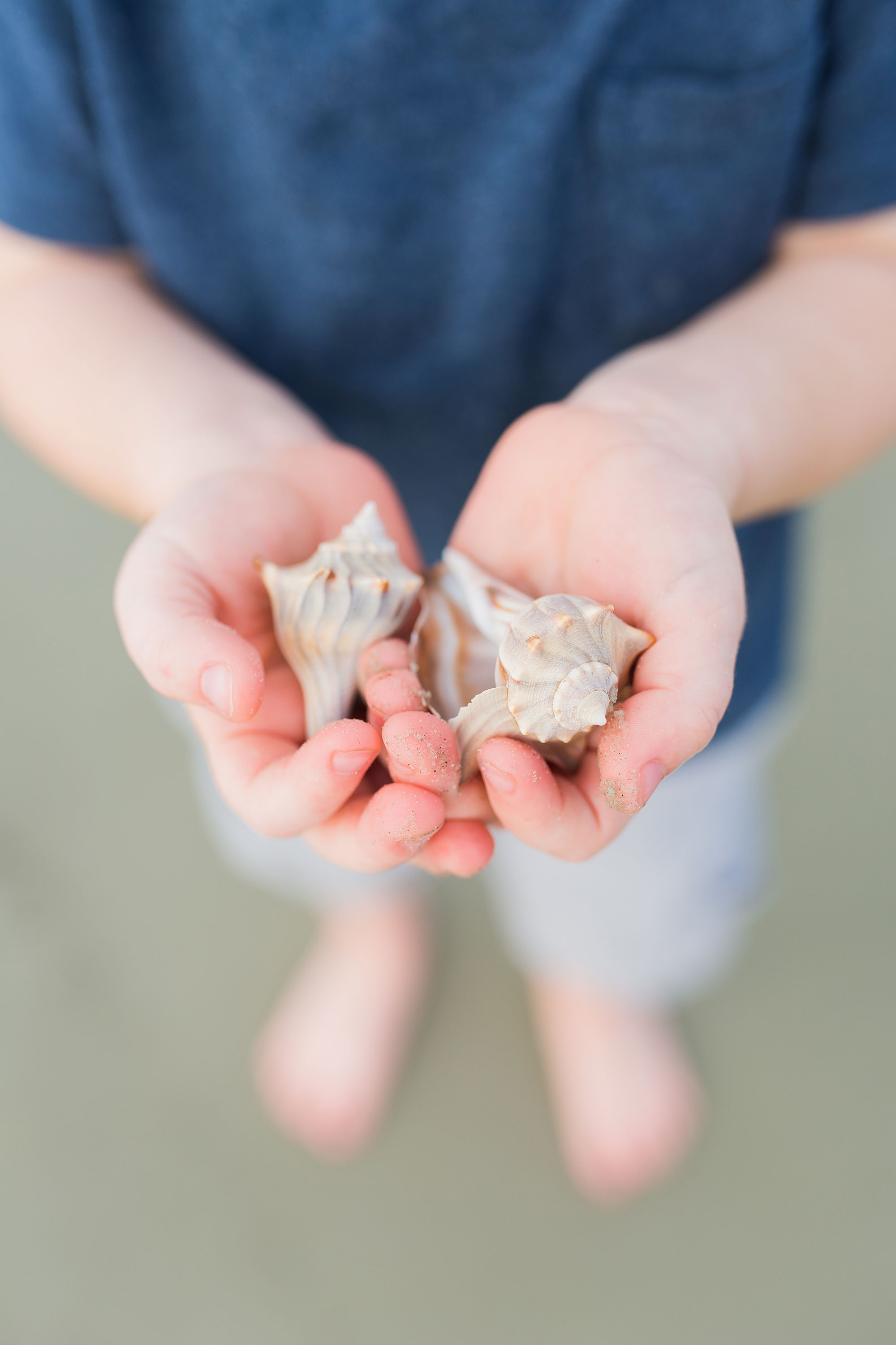 Child holding shells on the beach.