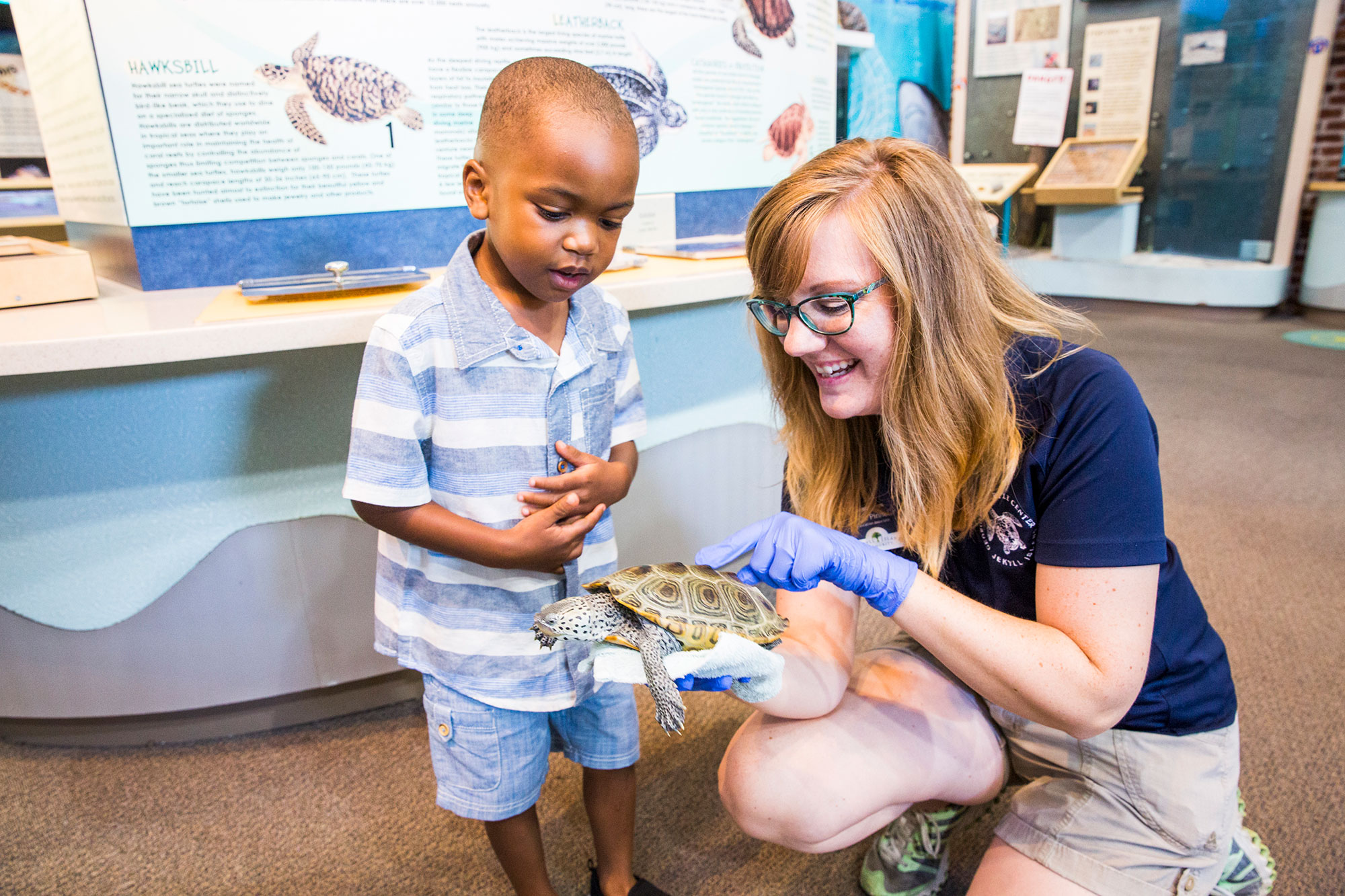 Staffer shows a turtle to a small boy at the Georgia Sea Turtle Center on Jekyll Island, Georgia