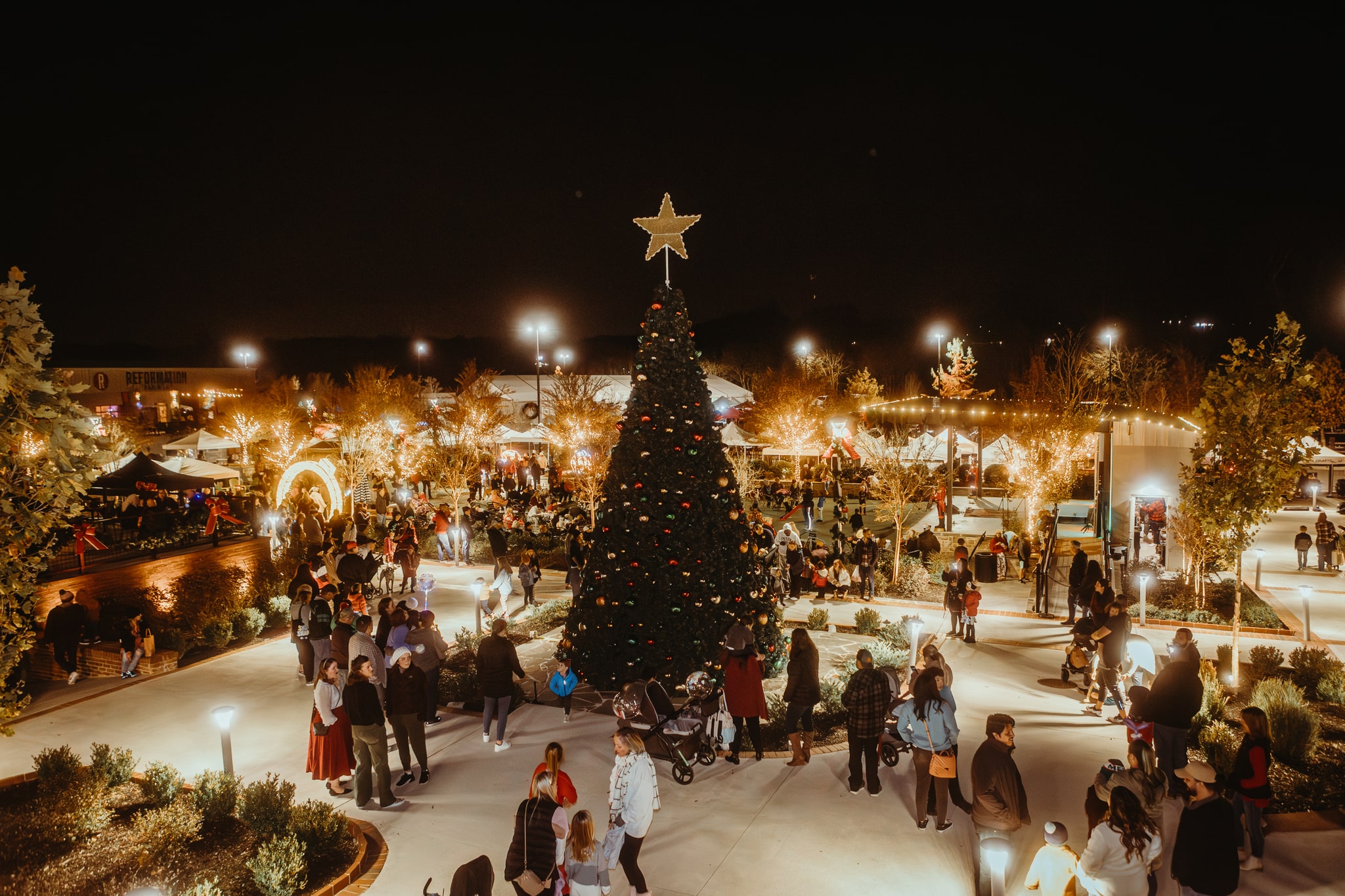 Christmas Tree