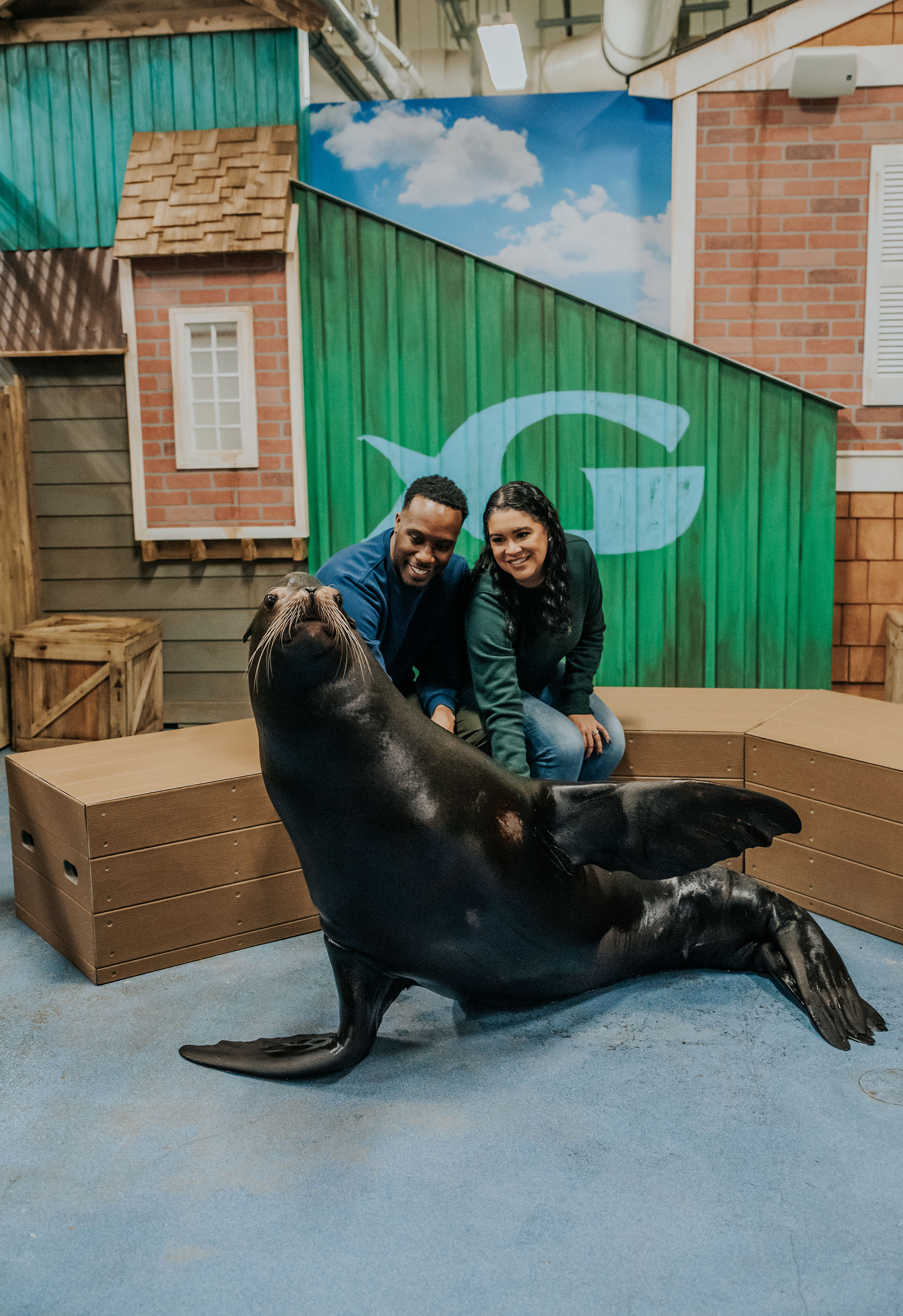 Couple at a sea lion encounter at Georgia Aquarium in Atlanta, Georgia