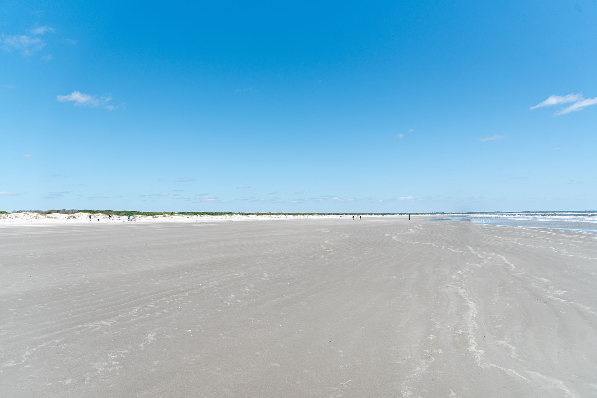 Wide open beach on Cumberland Island, Georgia