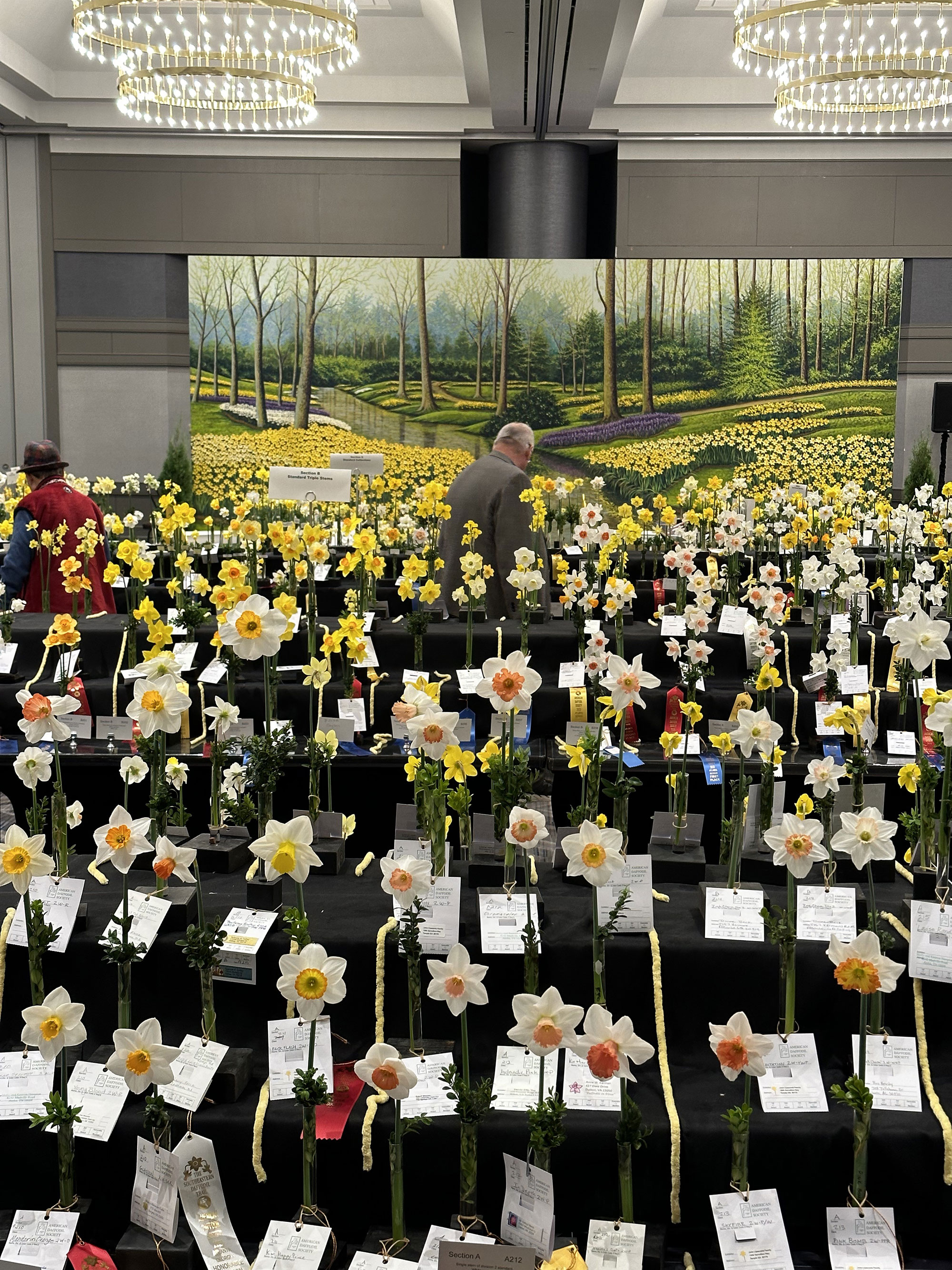 Daffodil Society Convention in Dunwoody, Georgia