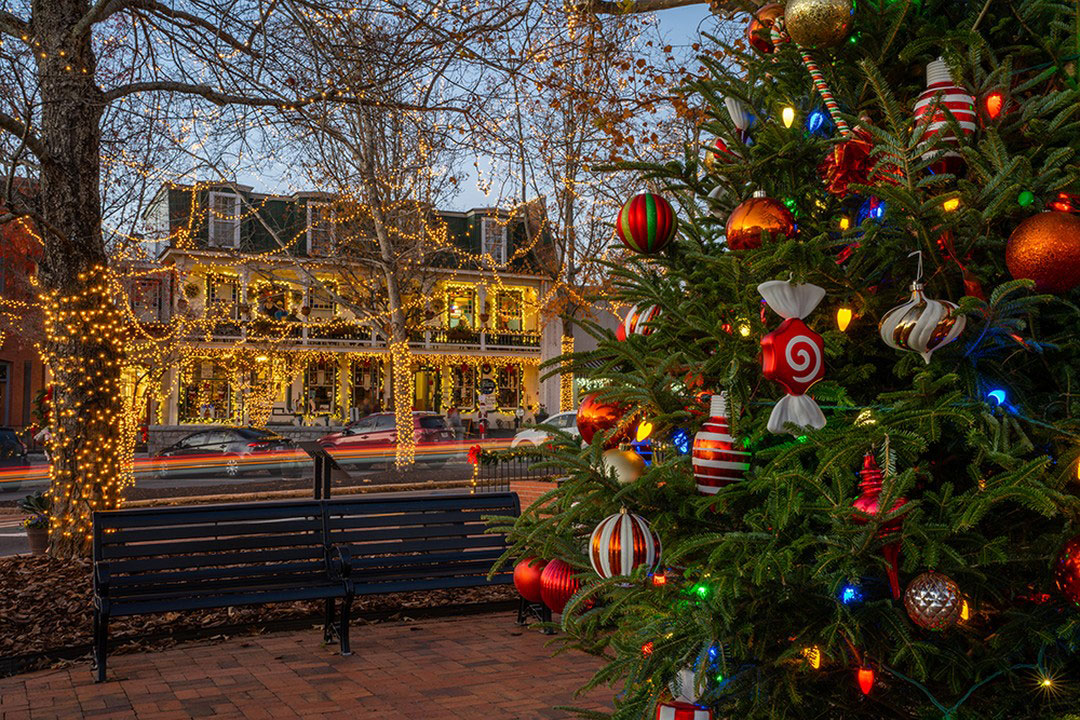 Closeup of a Christmas tree with ornaments in the Dahlonega square with a building and trees decorated in holiday lights in the background