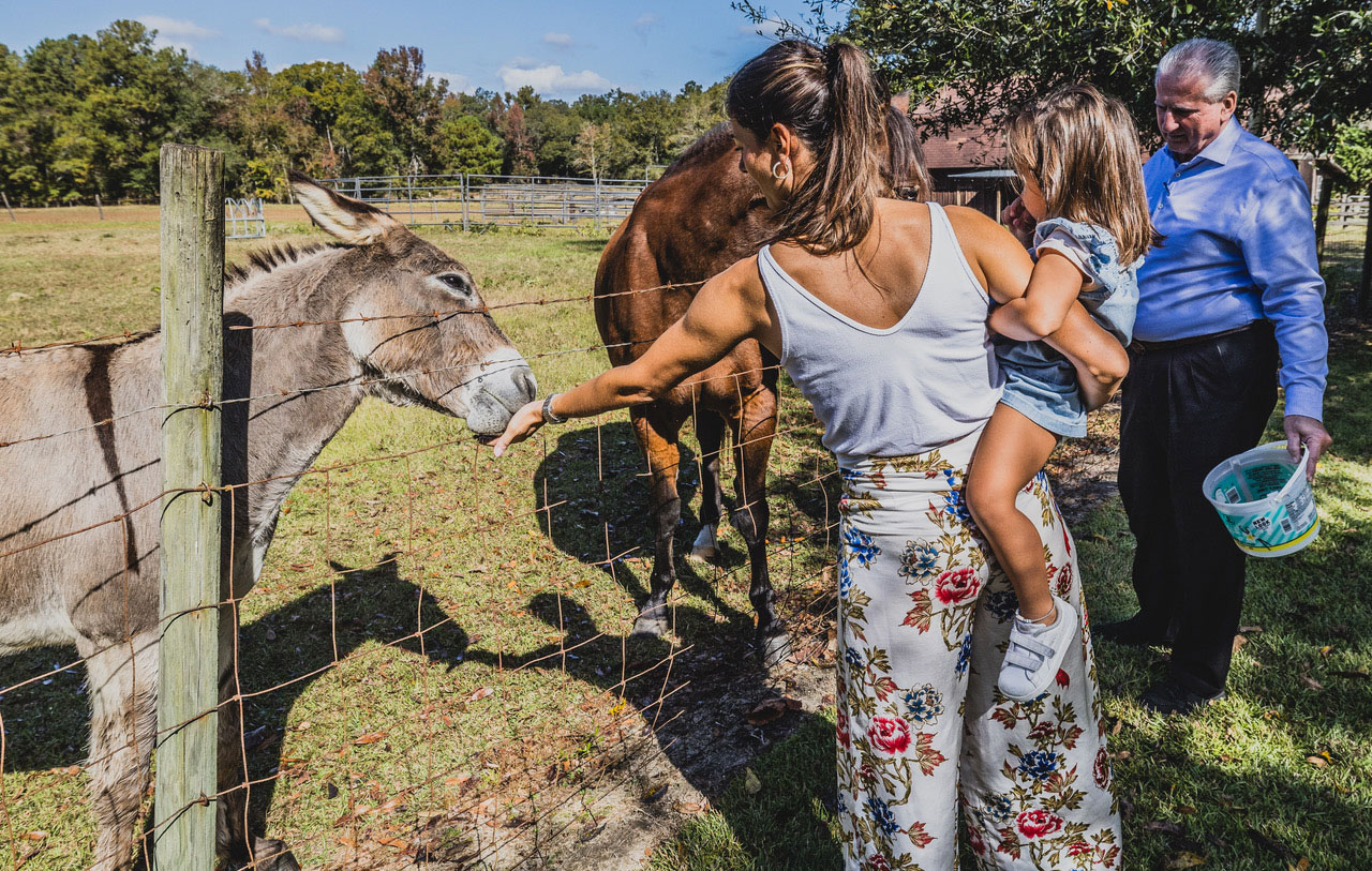 Woman and child feeding a donkey at Dublin Farm in Dublin, Georgia