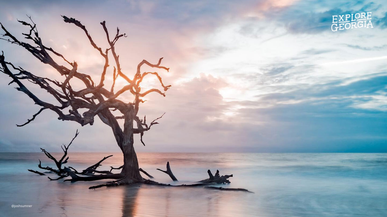 Driftwood Beach on Jekyll Island, Georgia. Photo by @joshsumner