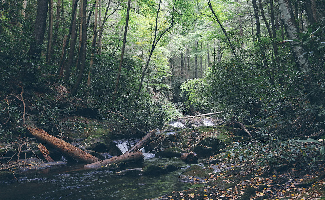 Dukes Creek Falls in Helen, Georgia. Photo by Wander North Georgia