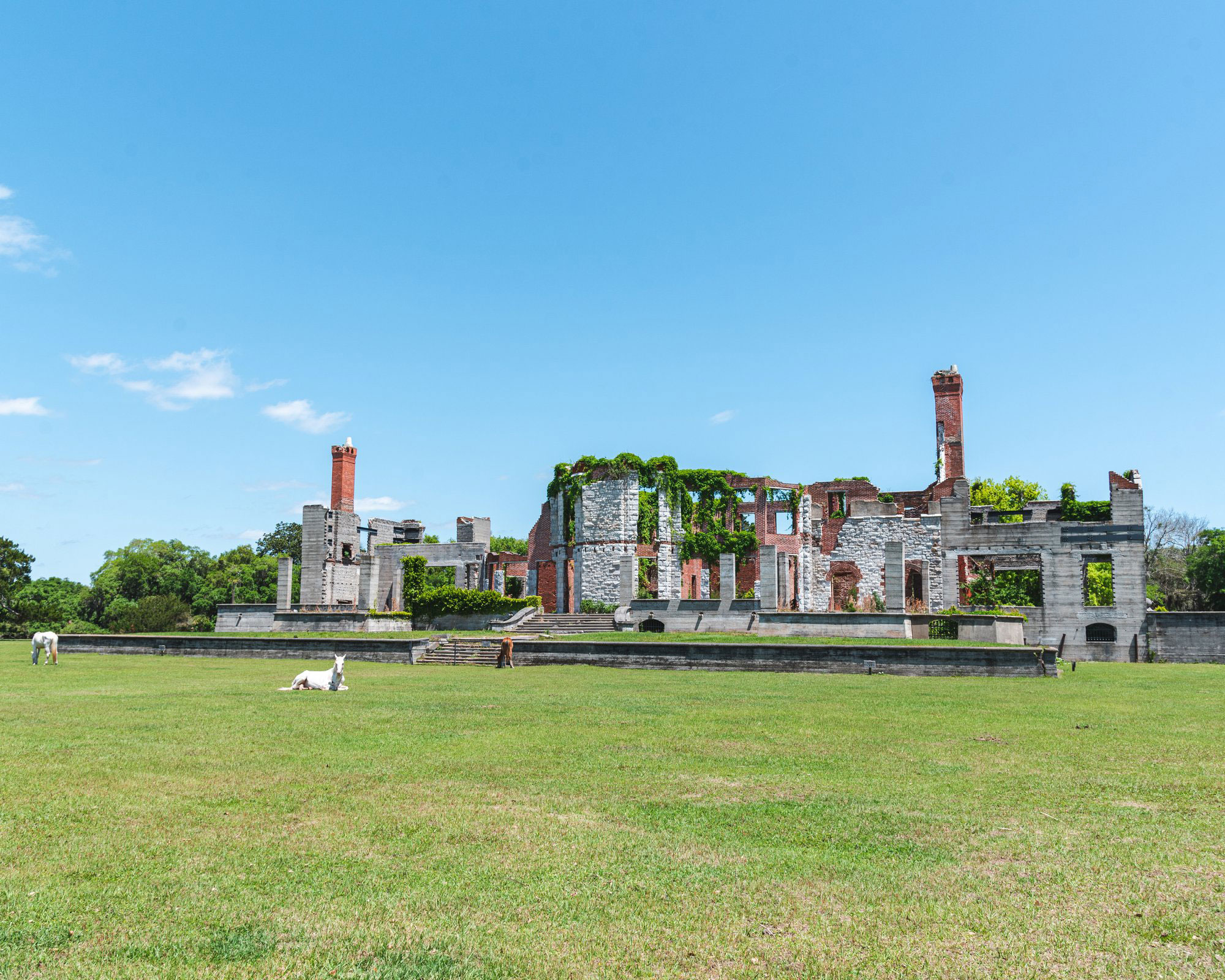Dungeness Ruins and horses on Cumberland Island, Georgia