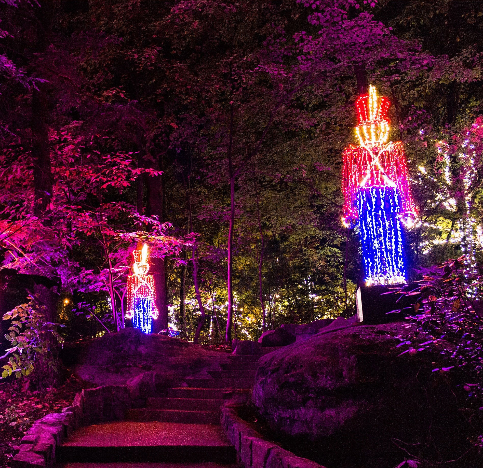 Two toy soldier light displays stand at attention next to climbing stone stairs Rock City Gardens' Enchanted Garden of Lights in Lookout Mountain, Georgia. The surrounding trees are illuminated in a pink light from the bright light fixtures. 