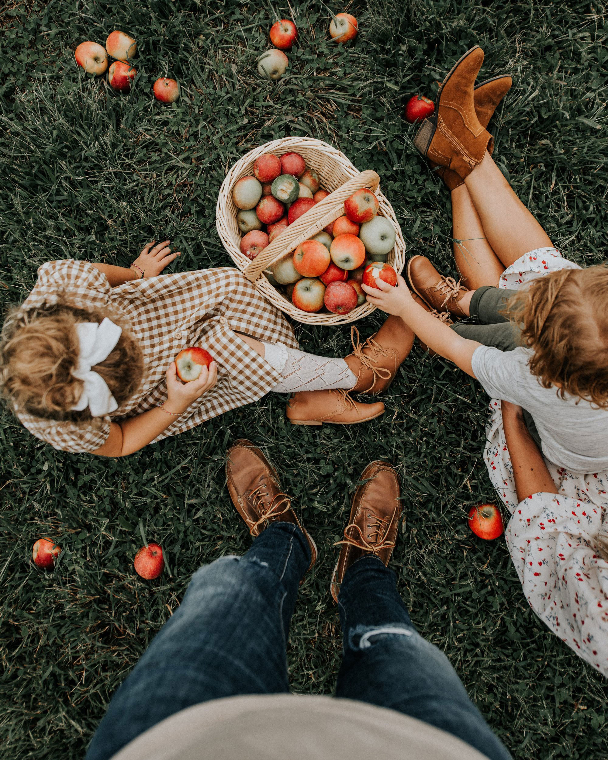 Family with apples at B.J. Reece Orchards in Ellijay, Georgia