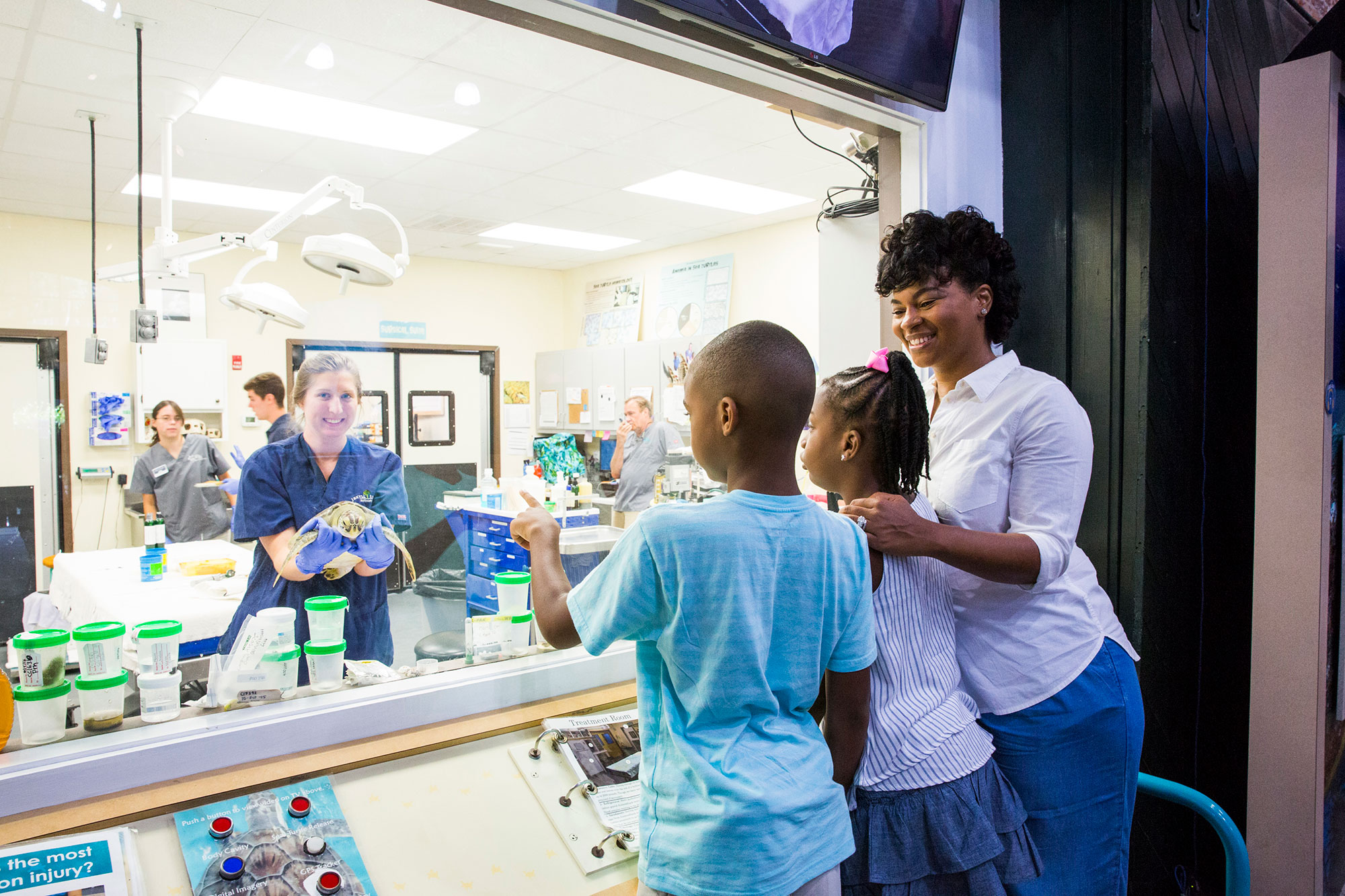 Mother and two children look through a window at a doctor holding a sea turtle at the Georgia Sea Turtle Center on Jekyll Island, Georgia