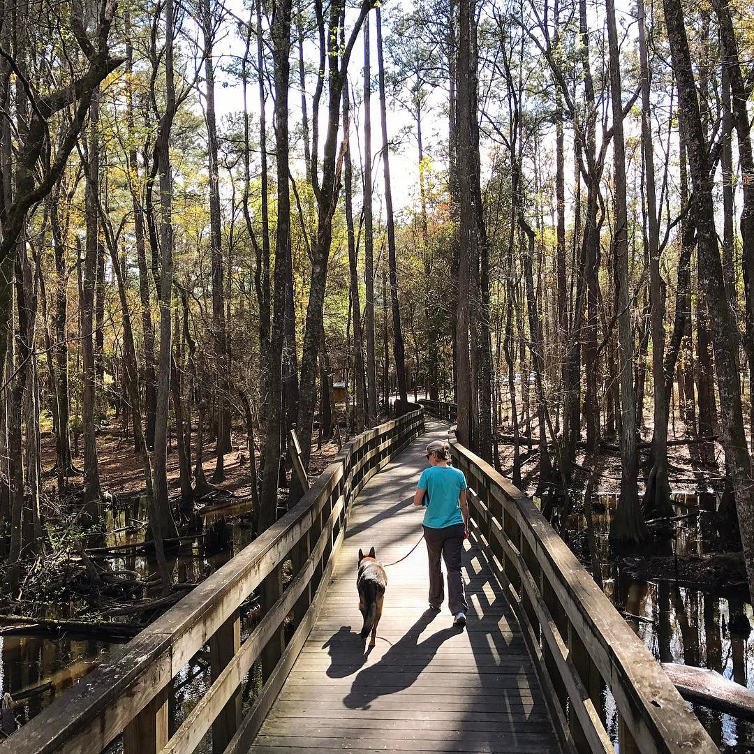 General Coffee State Park in Nicholls, Georgia. Photo by @jareddivincent