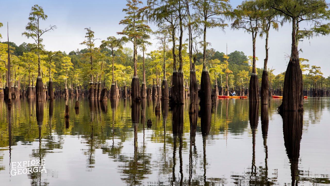 George L. Smith State Park in Twin City, Georgia. Photo by @benjamingalland