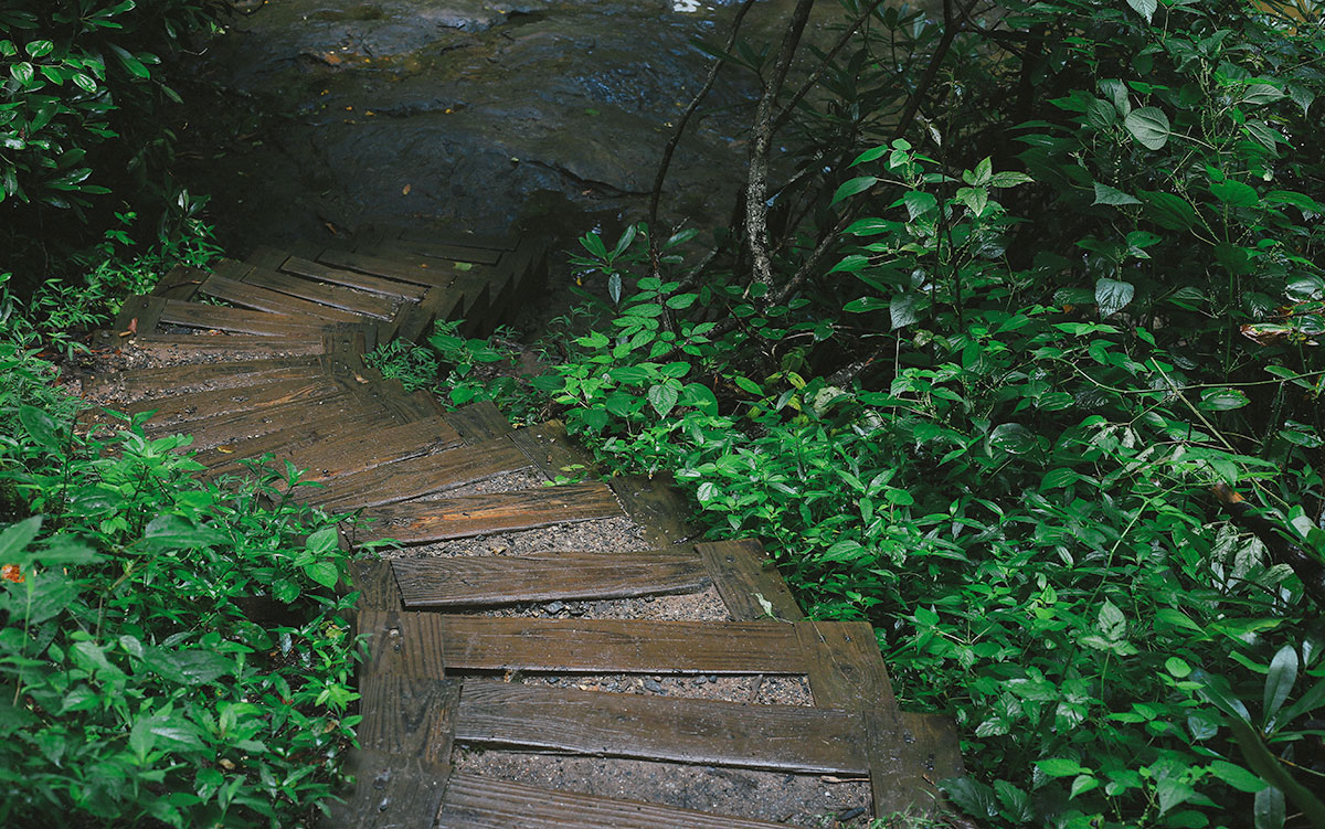 Helton Creek Falls in Blairsville, Georgia | Wander North Georgia