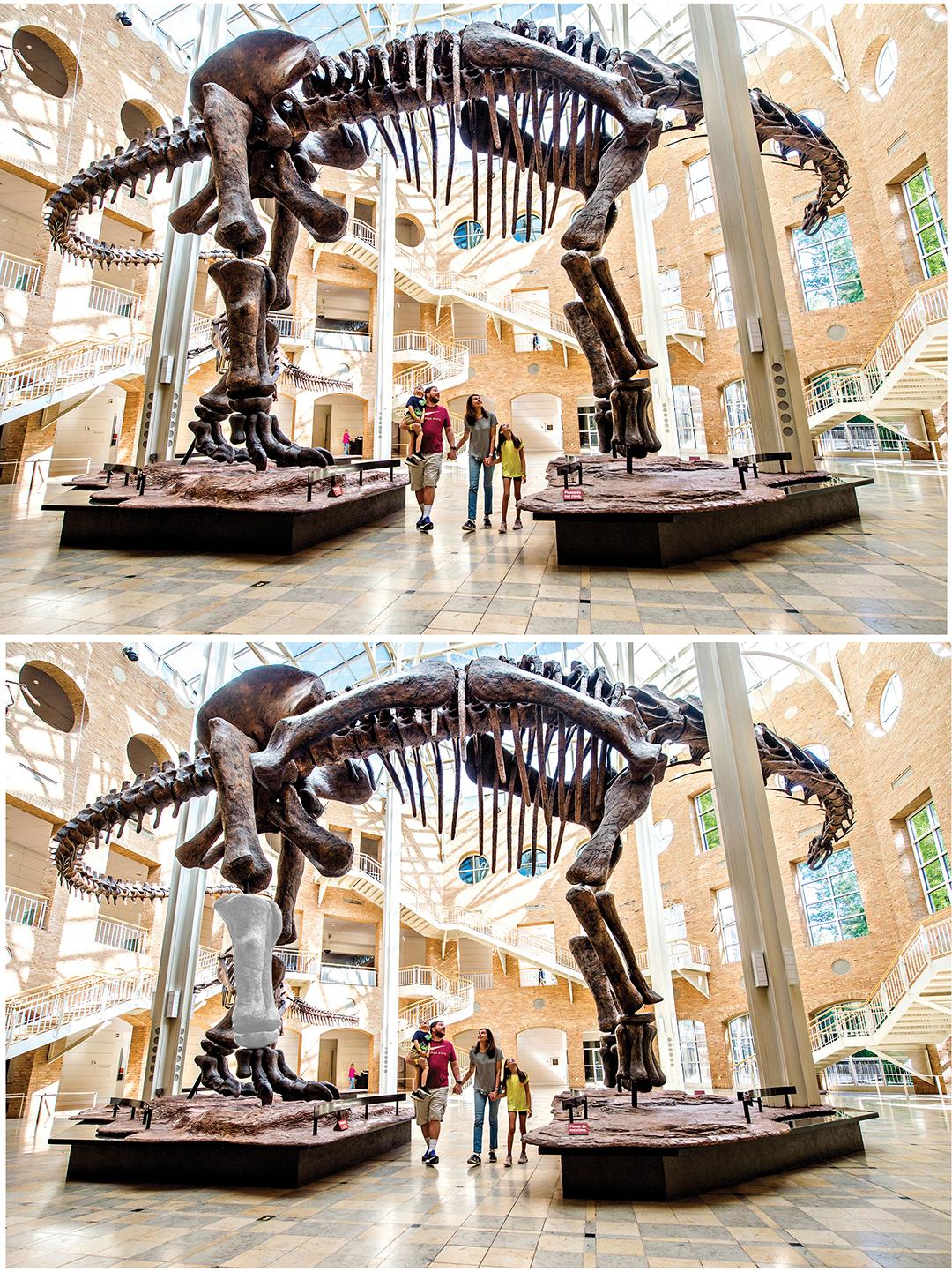 Fernbank Museum of Natural History