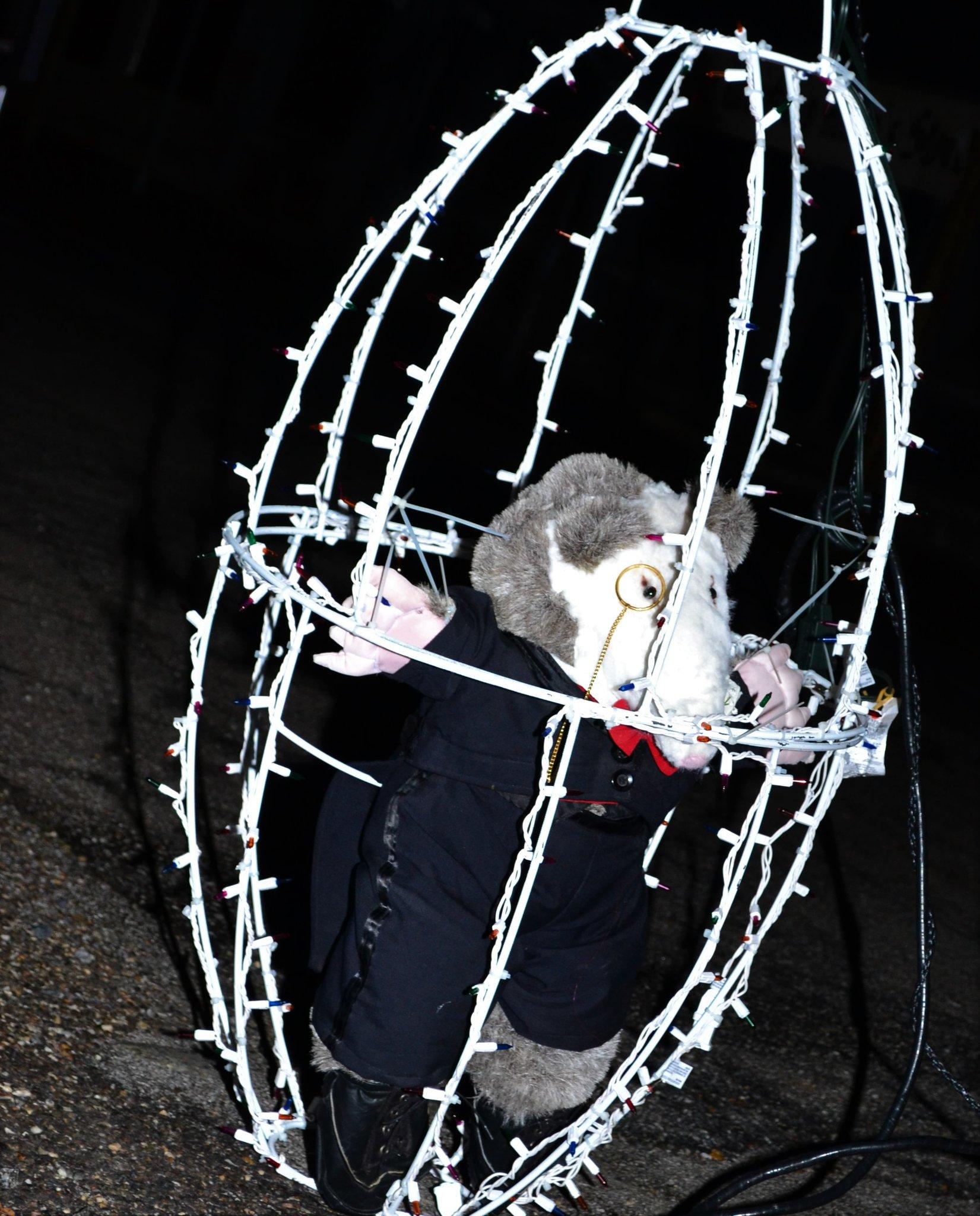 New Year's Eve Possum Drop in Tallapoosa, Georgia