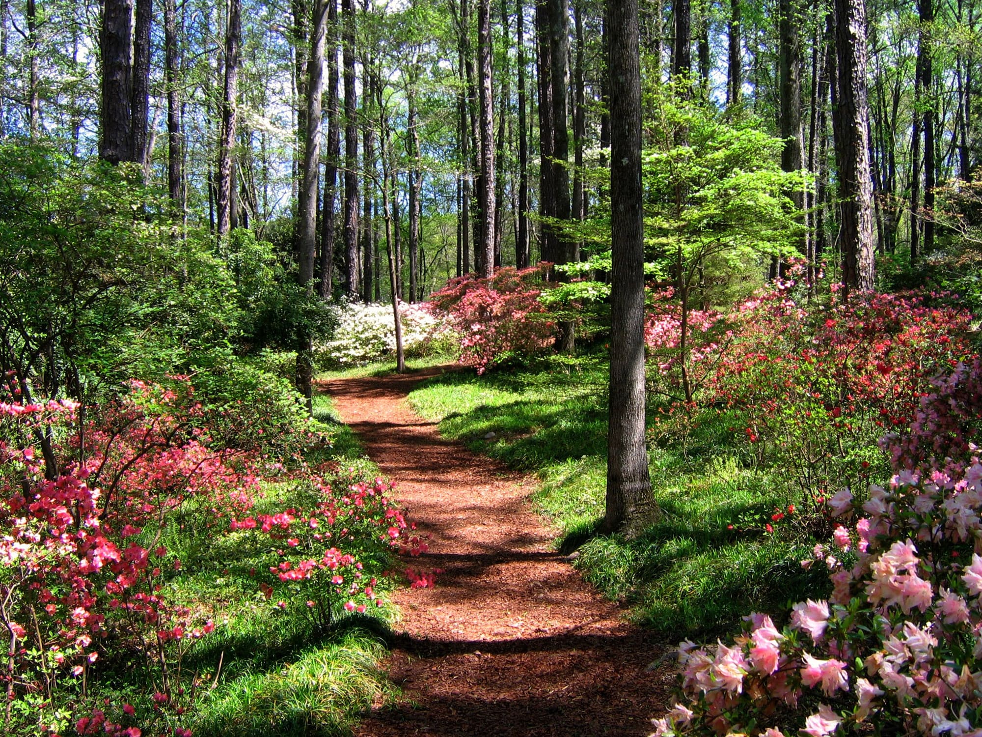 Callaway Gardens in Pine Mountain, Georgia. Photo by UGArdener via Flickr