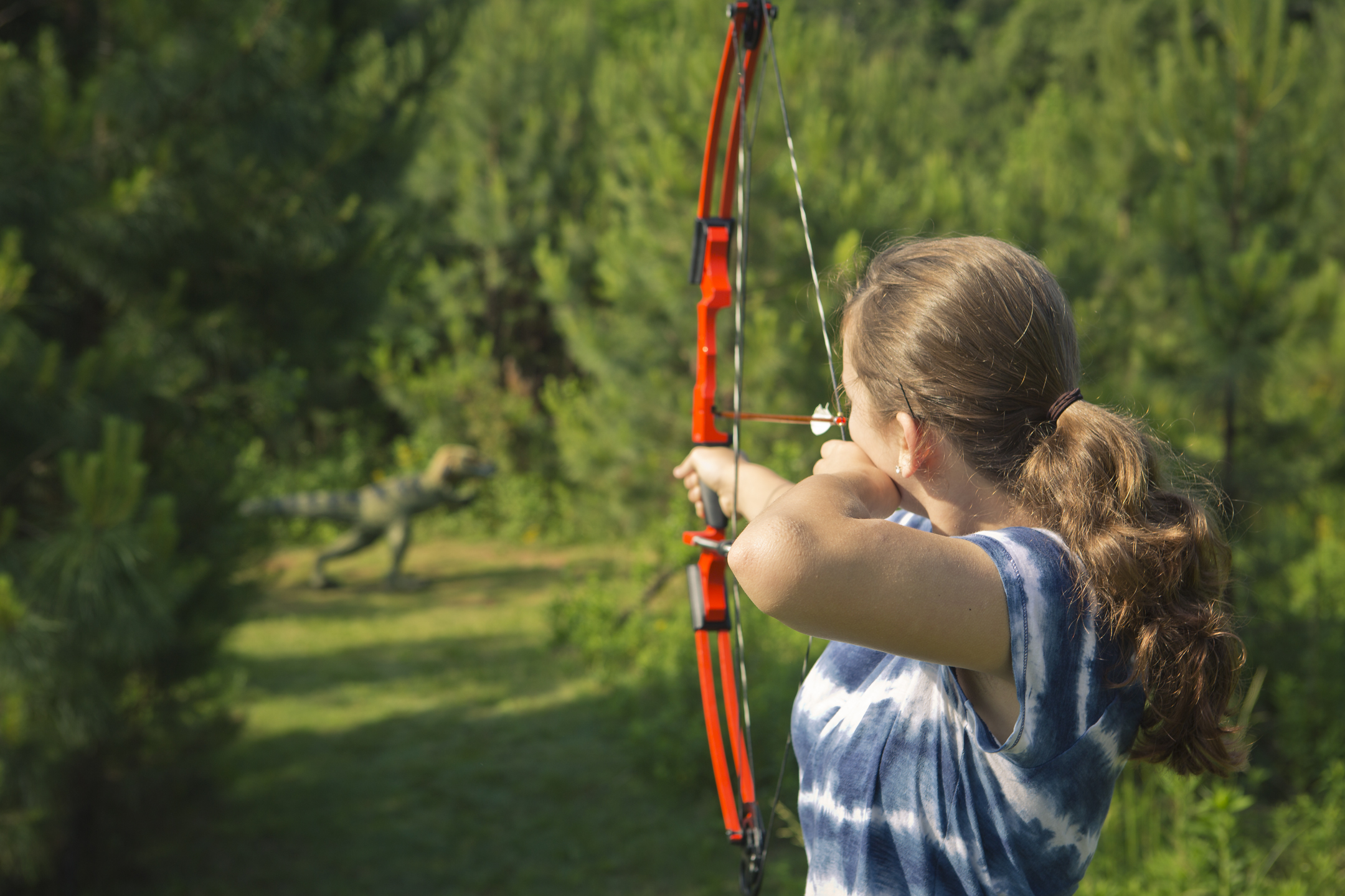3-D Archery Range at Panola Mountain State Park