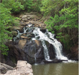 Henry Mill Falls. Photo courtesy Cochran Mill Park.