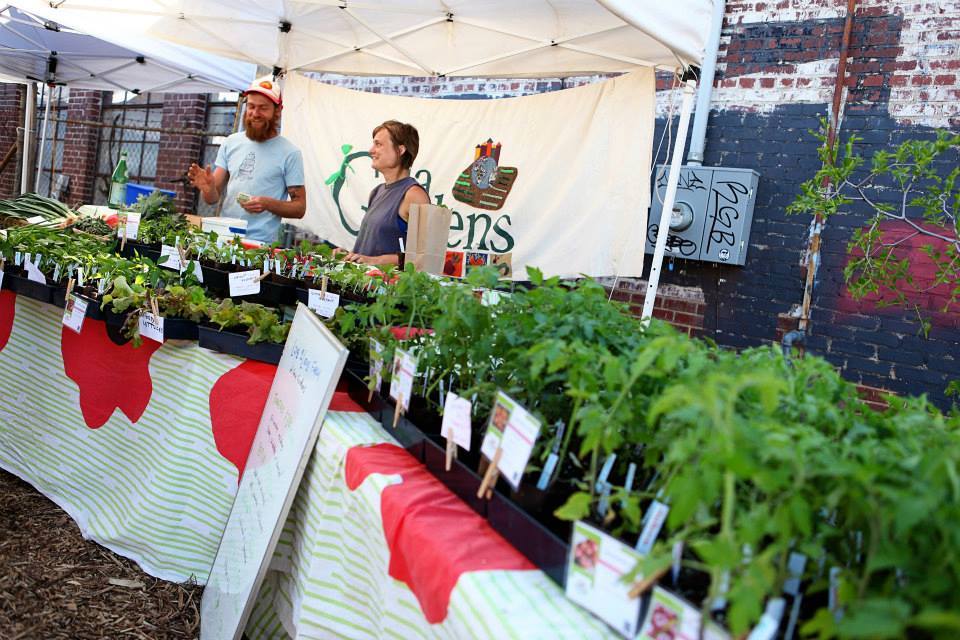 Photo courtesy of Community Farmers Markets