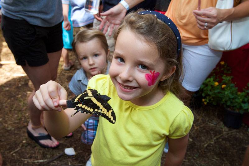 Child in a yellow shirt holding a wand with a black and yellow butterfly on the end
