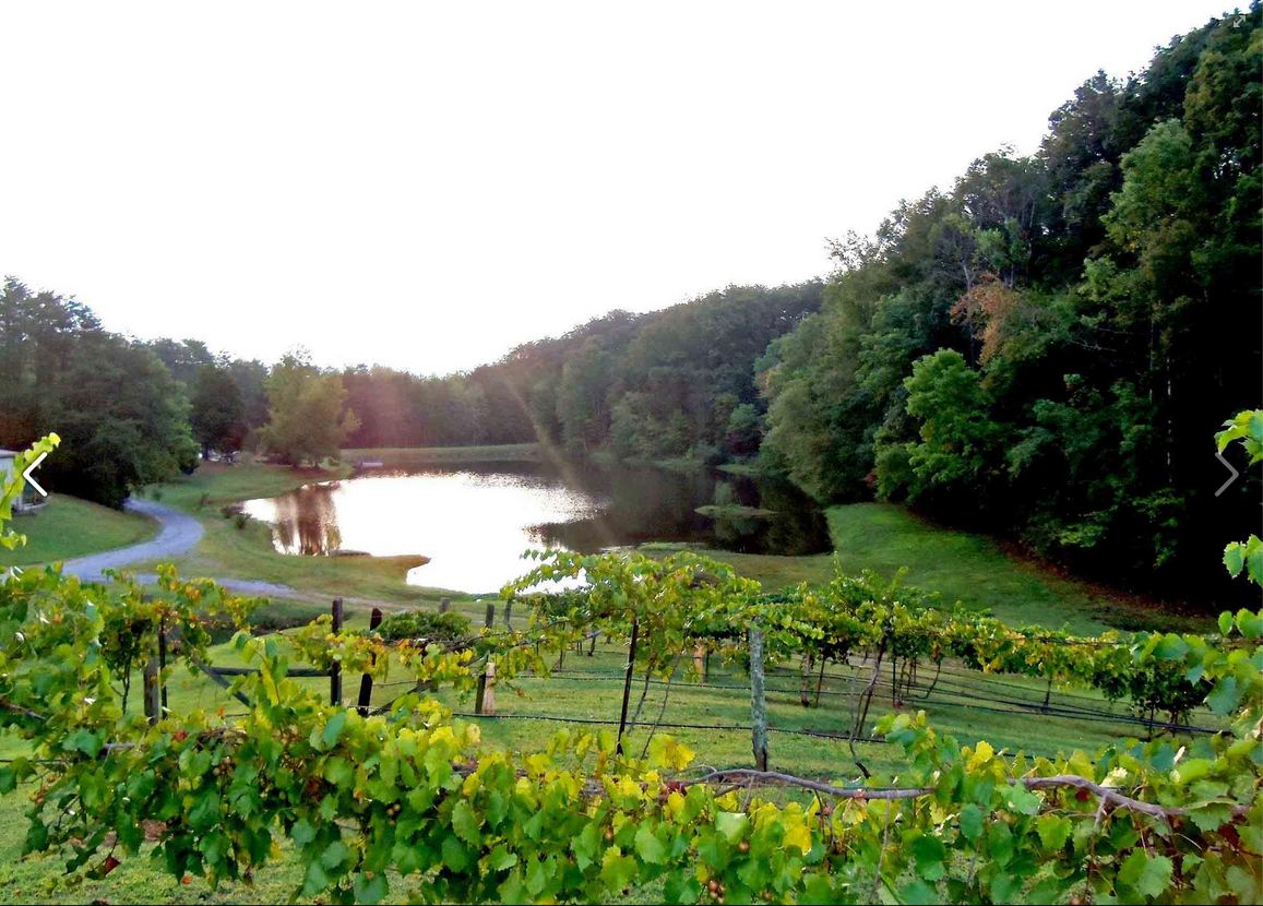 Georgia Winery in Ringgold, Georgia