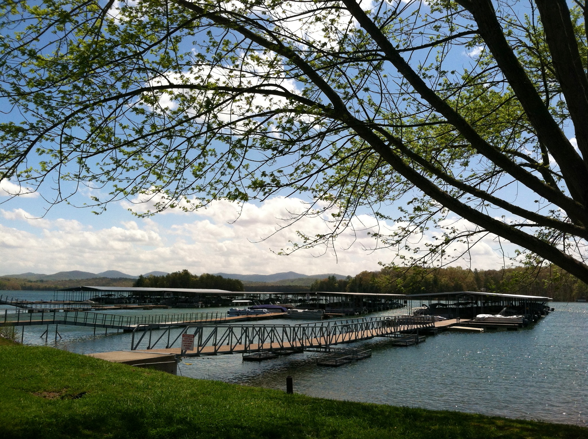Lake Blue Ridge Marina in Blue Ridge, Georgia