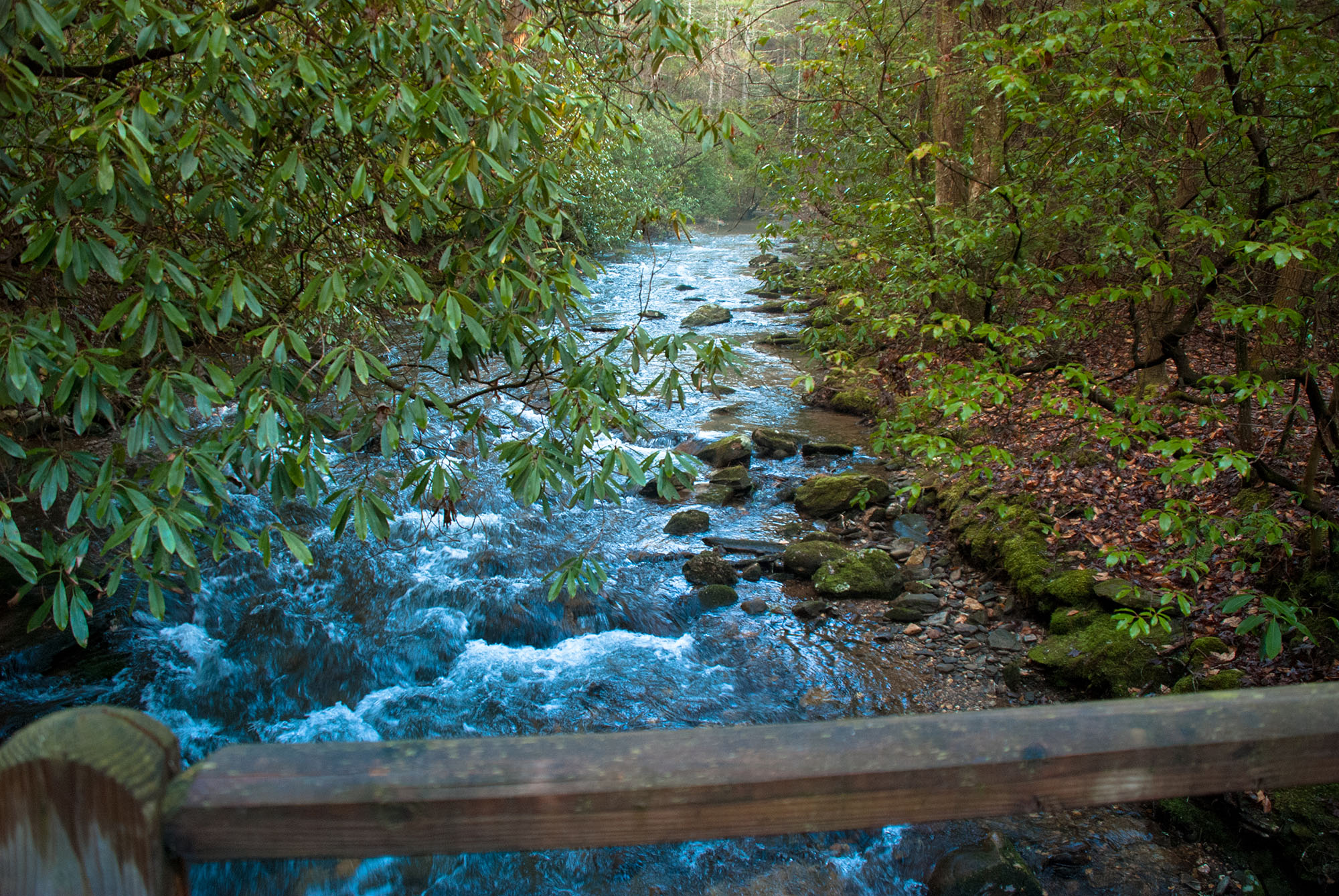 Smithgall Woods State Park in Helen