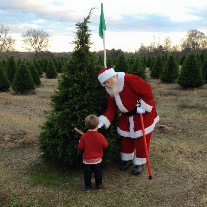 Berry's Tree Farm in Covington
